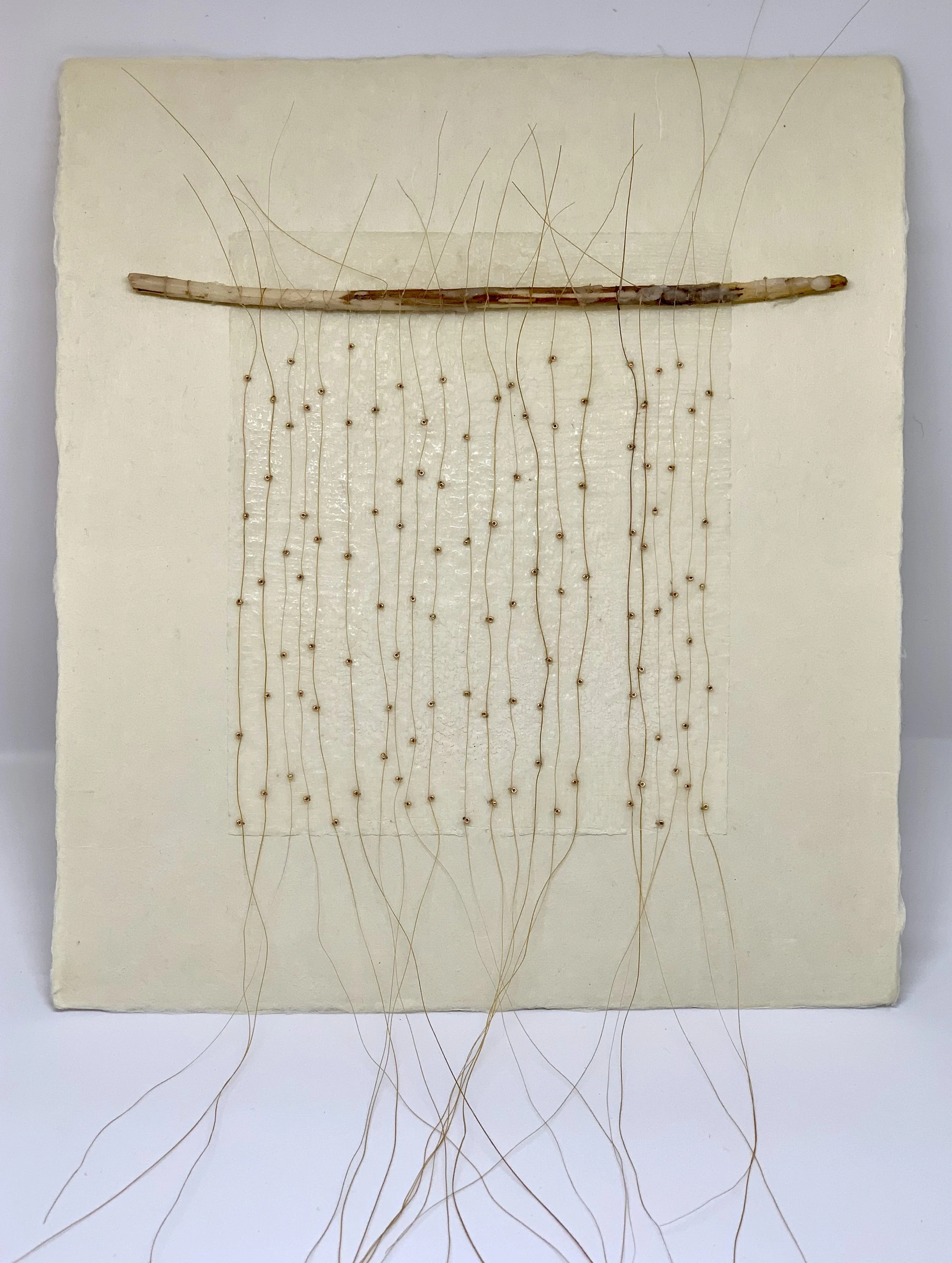  Horse Hair and Beeswax on Paper, Small 
Japanese paper, encaustic, horse hair, seed beads and branch