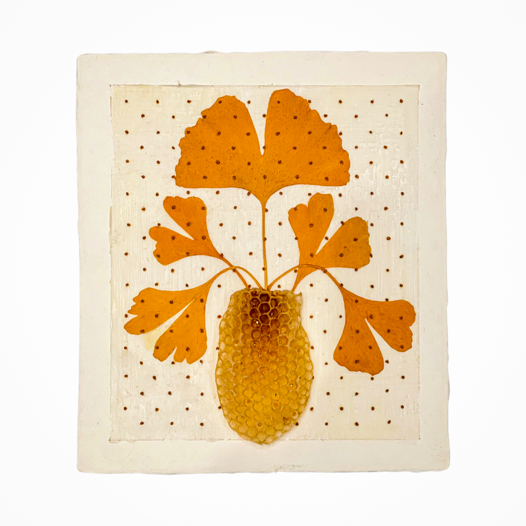  Ginkgo and Burr Comb Vase on Paper 
Japanese paper, beeswax, burr comb, Ginkgo leaves and embroidery floss