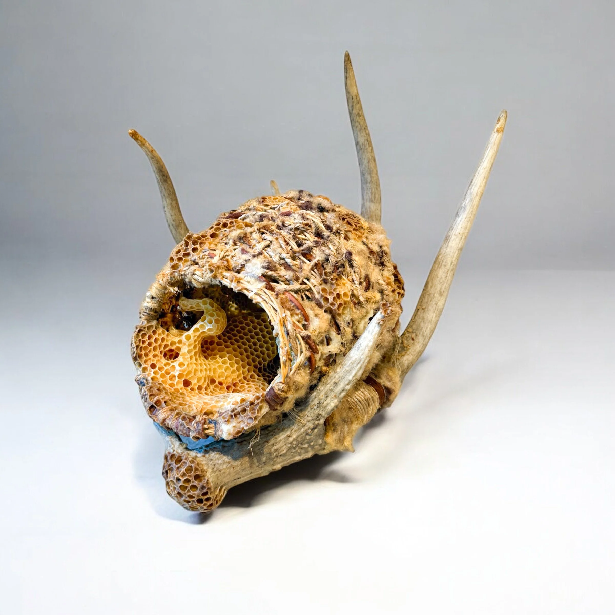  Antler and Mixed Organic Materials Basket with Honeycomb 
Naturally shed deer antler, silk, Hemp, suede, reed and Ontario Willow and honeycomb 