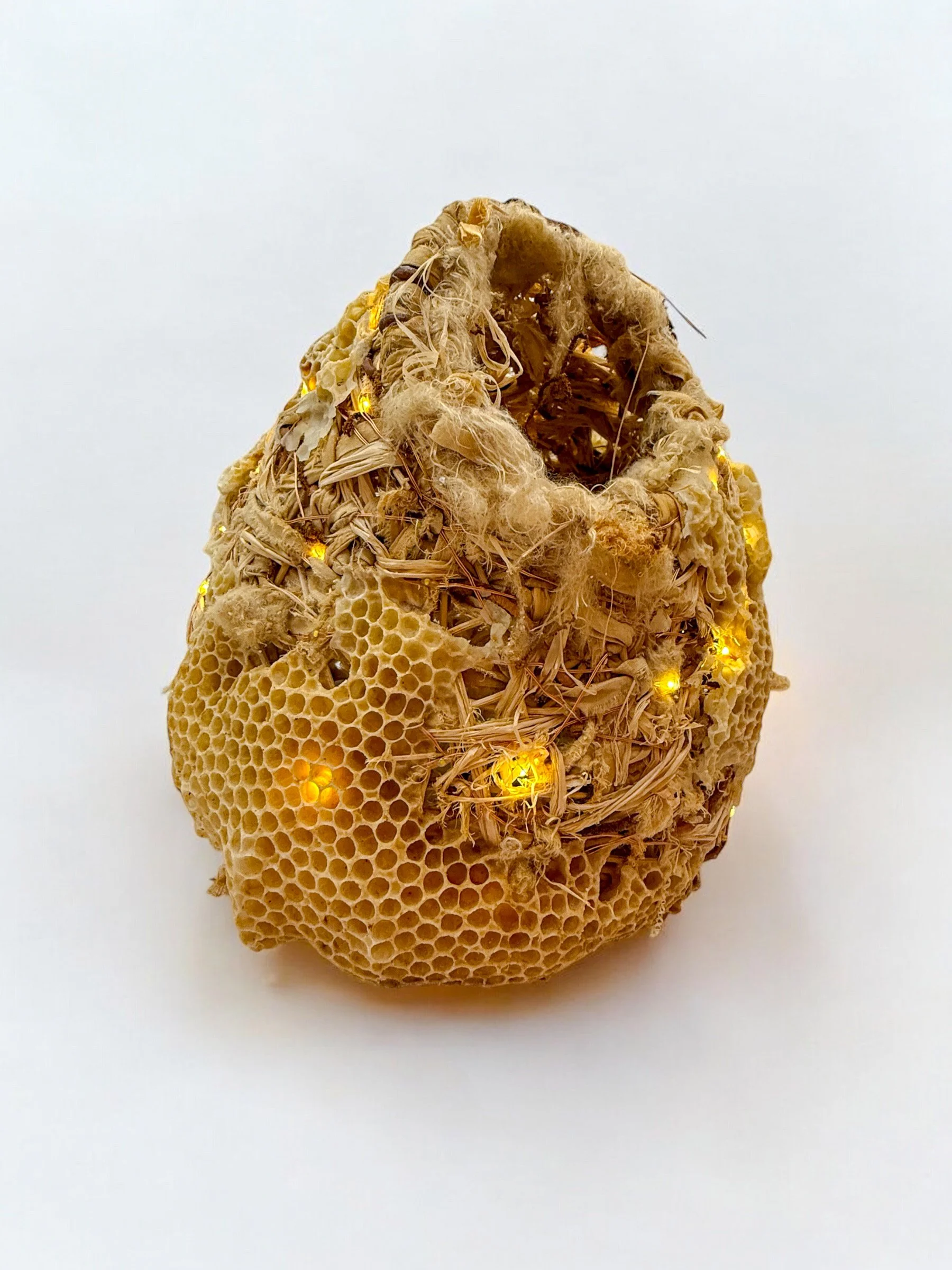  Reed and Silk Basket with Fairy Lights and Honeycomb 
Reed, silk, fairy lights and honeycomb