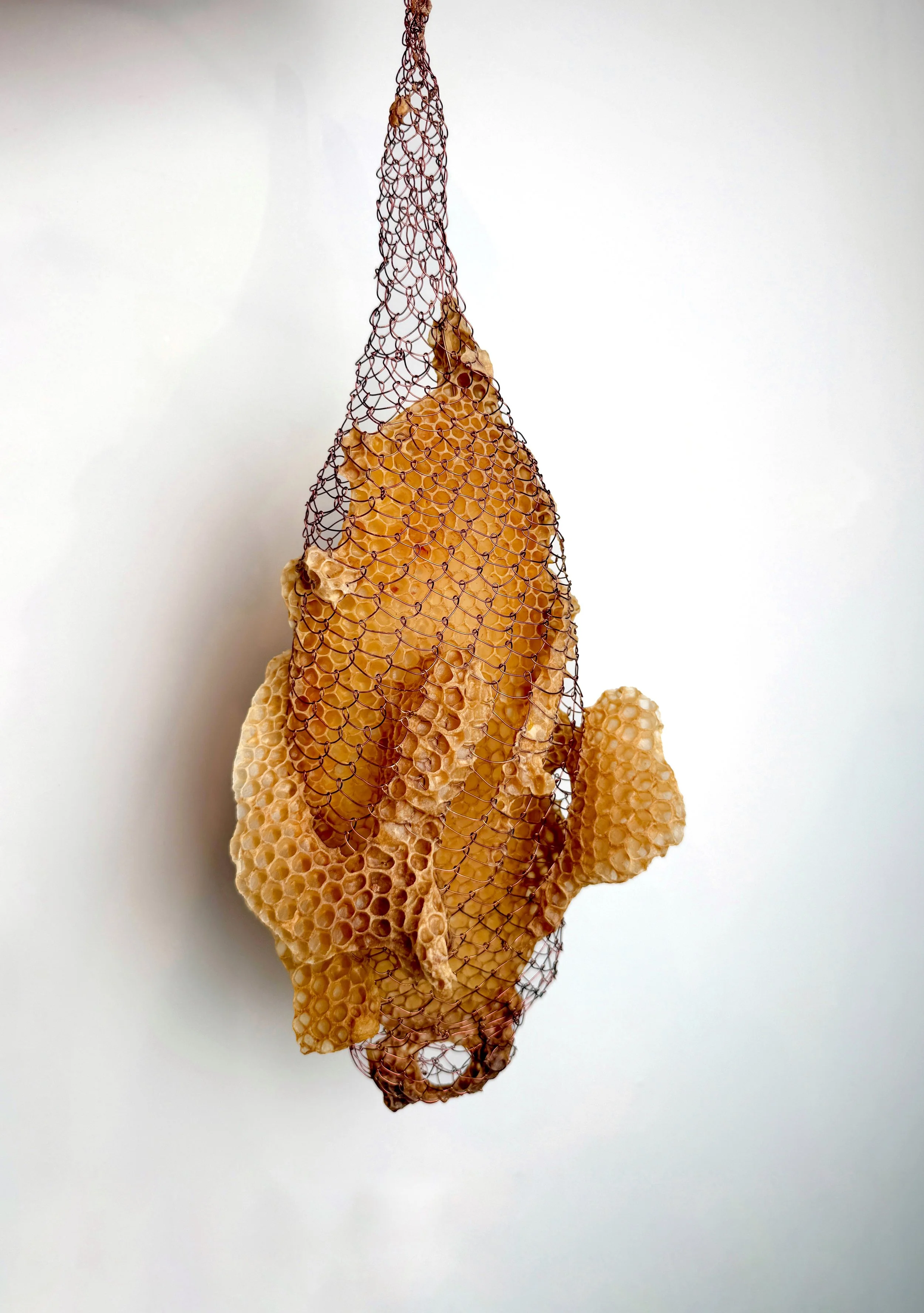  Copper Wire Pod with Honeycomb 
Copper wire, honeycomb