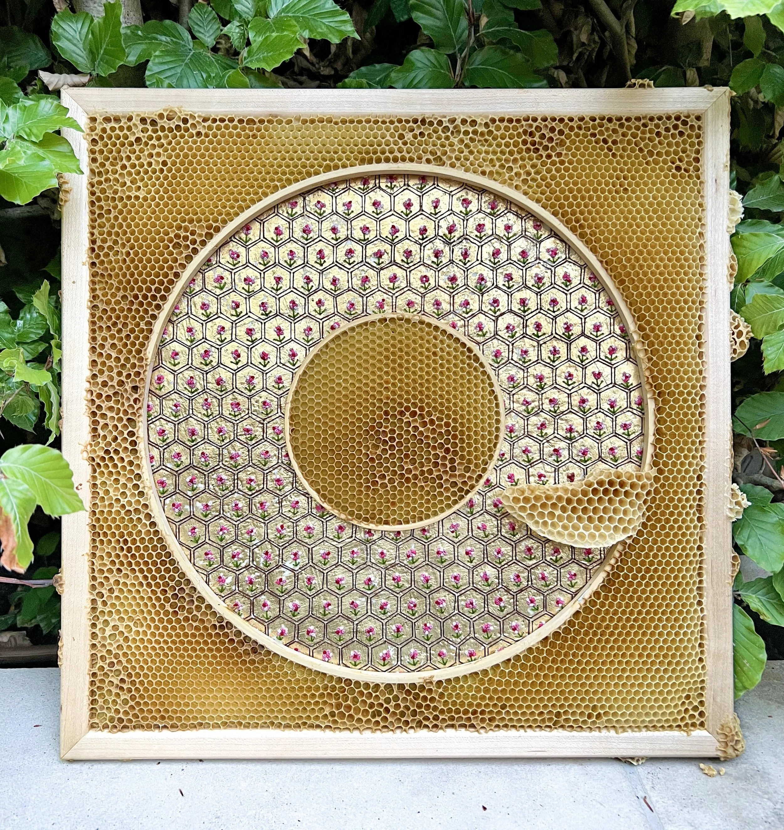  Honeycomb Collaboration: Taylor's Piece 
Japanese paper, encaustic, gold leaf, embroidery floss, embroidery hoops, natural honeycomb on wood panel