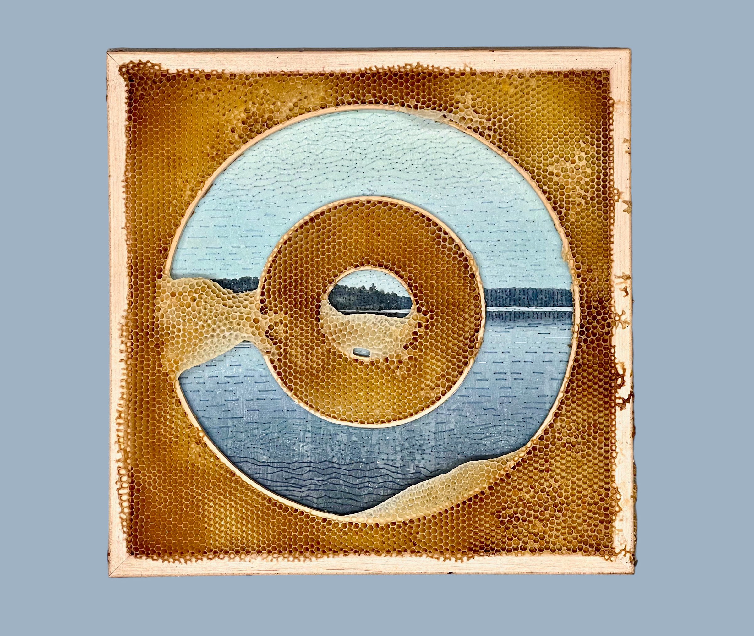  Honeycomb Collaboration: Hardwood Lake, Horizon 
Japanese paper, encaustic, photography, embroidery floss, embroidery hoops, natural honeycomb on wood panel