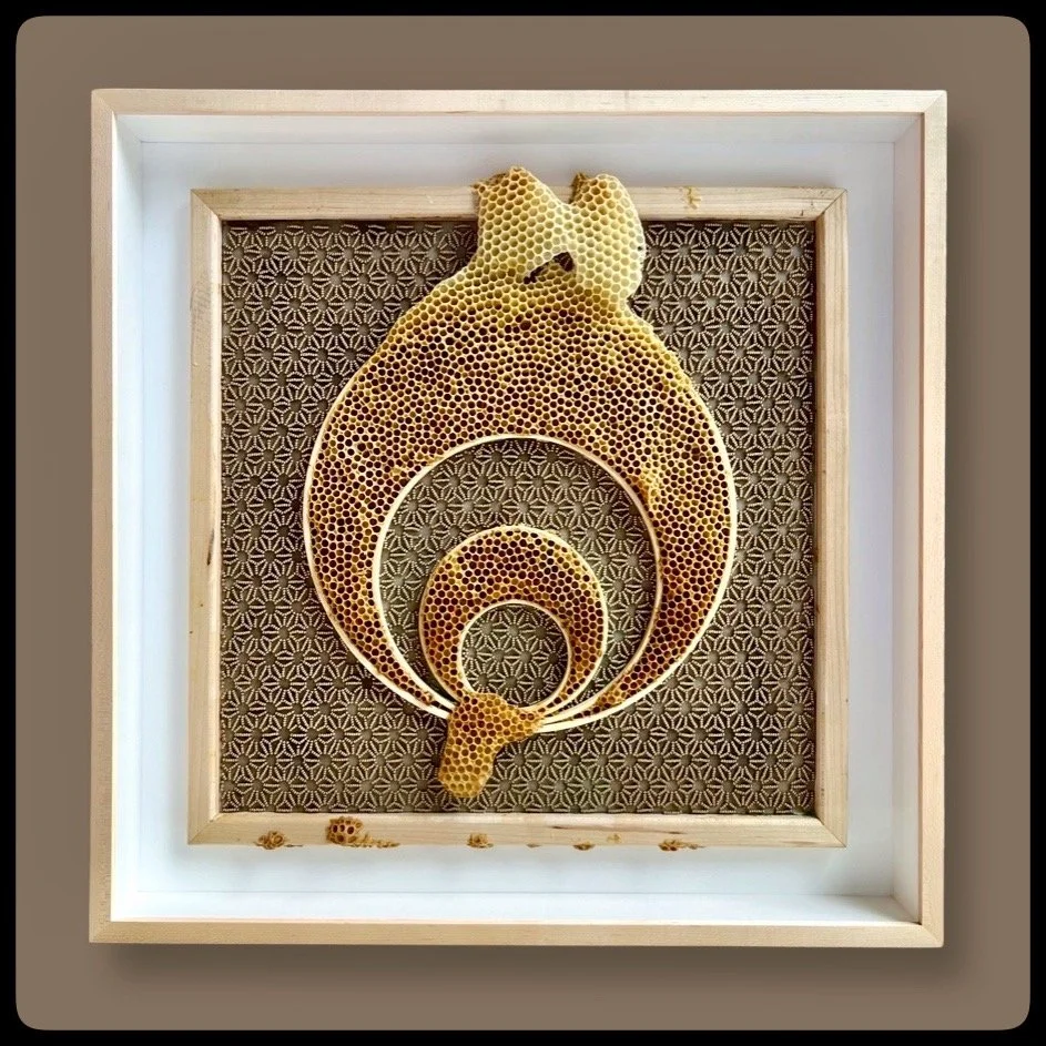  Honeycomb Collaboration: Embroidery Hoops with Taupe Flower Motif 
Japanese paper, encaustic, embroidery hoops, seeds beads, embroidery floss, natural honeycomb on wood panel