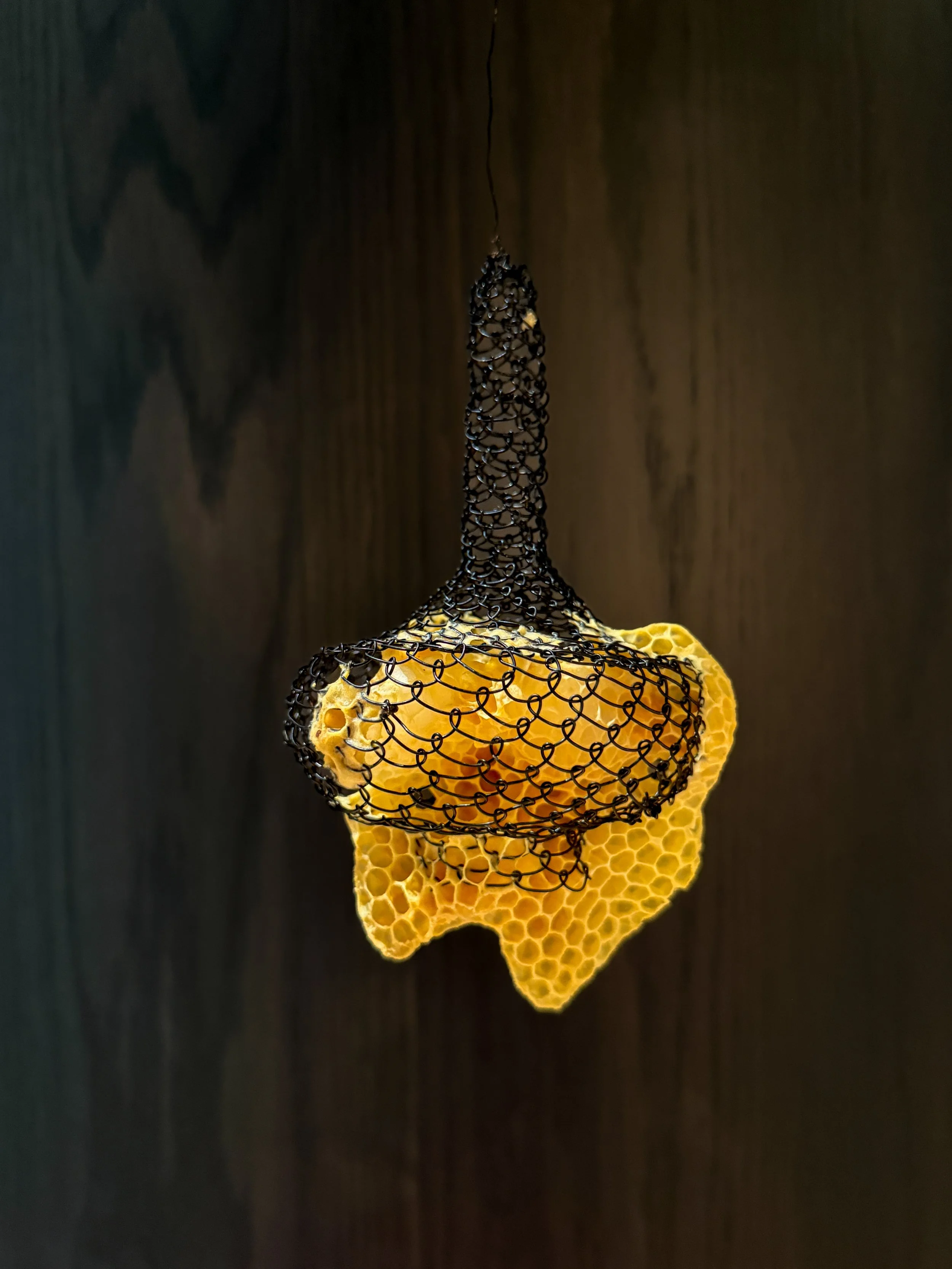 Black Wire Pod with Natural Honeycomb