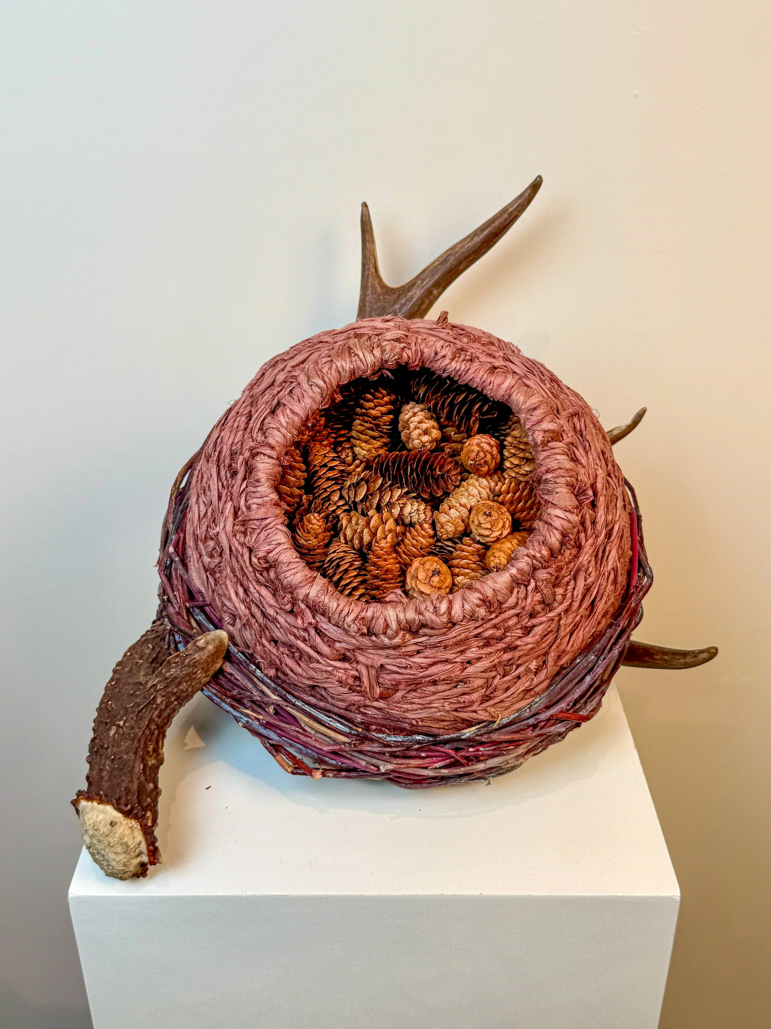  Antler, Willow and Silk Cone Basket 
Naturally shed deer antler, Ontario Purple Willow, repurposed sari silk and Pine cones