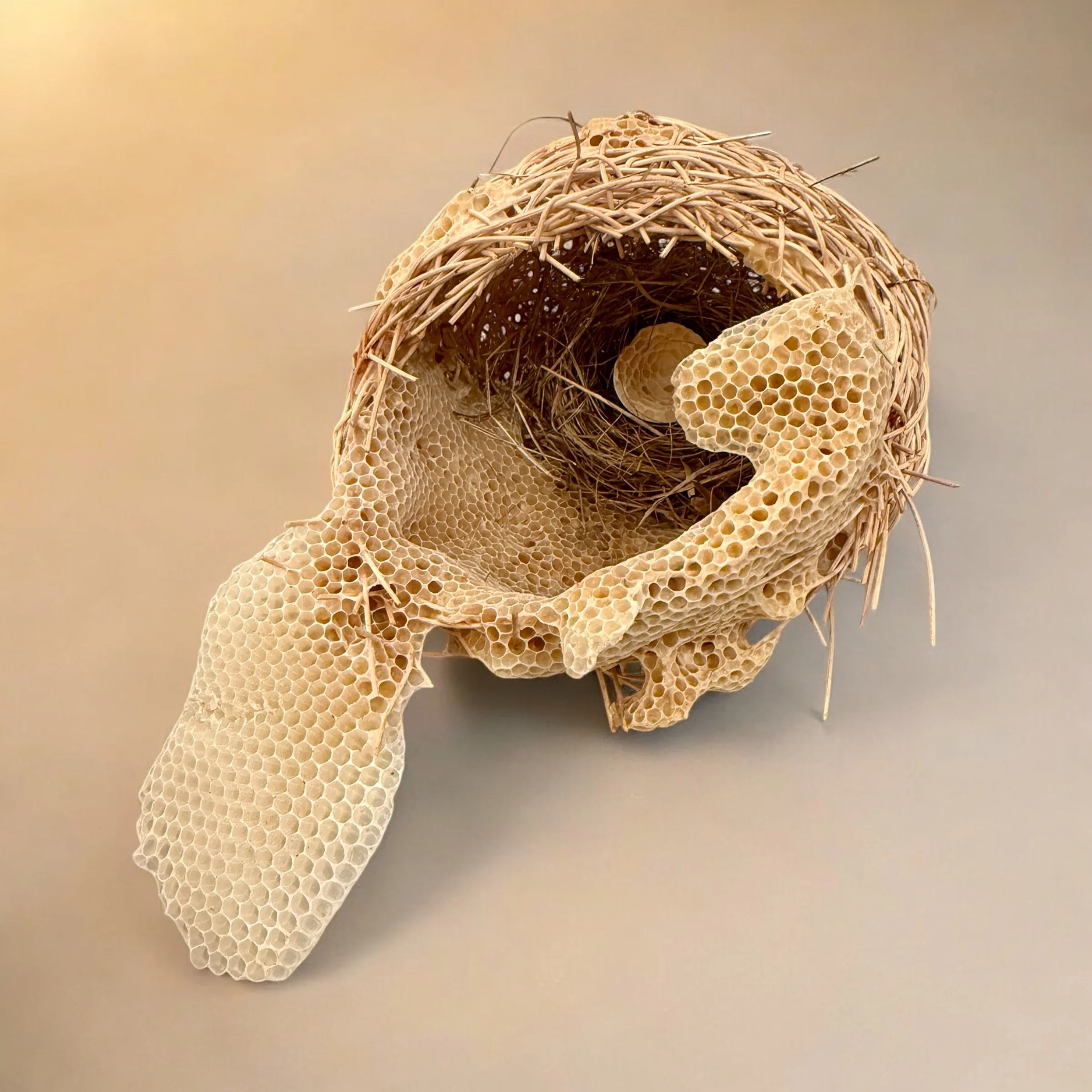  Smoked Reed Basket with Nest and Honeycomb 
Smoked reed, bird's nest, egg and honeycomb