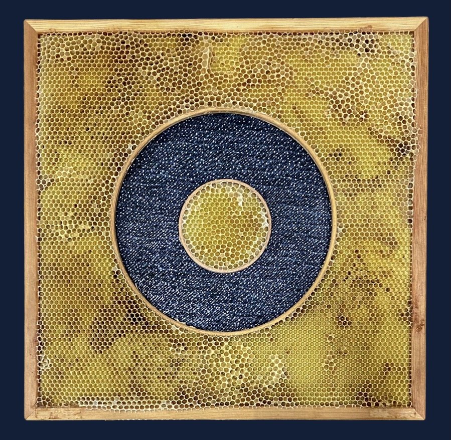 Honeycomb Collaboration: Black Ring and White 
Japanese paper, encaustic, embroidery floss, oil paint, embroidery hoops, natural honeycomb on wood panel
