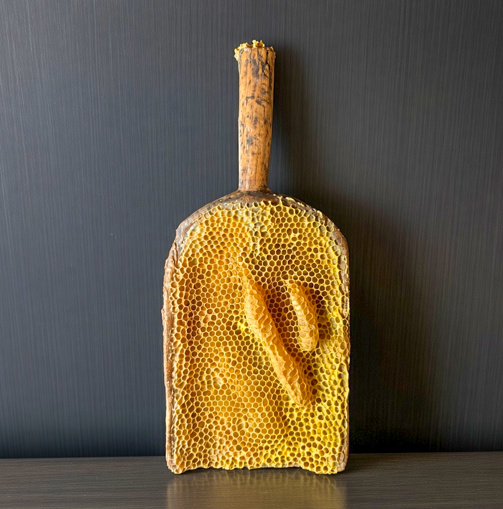  Antique Butter Paddle1 
Vintage French butter paddle with natural Ontario honeycomb