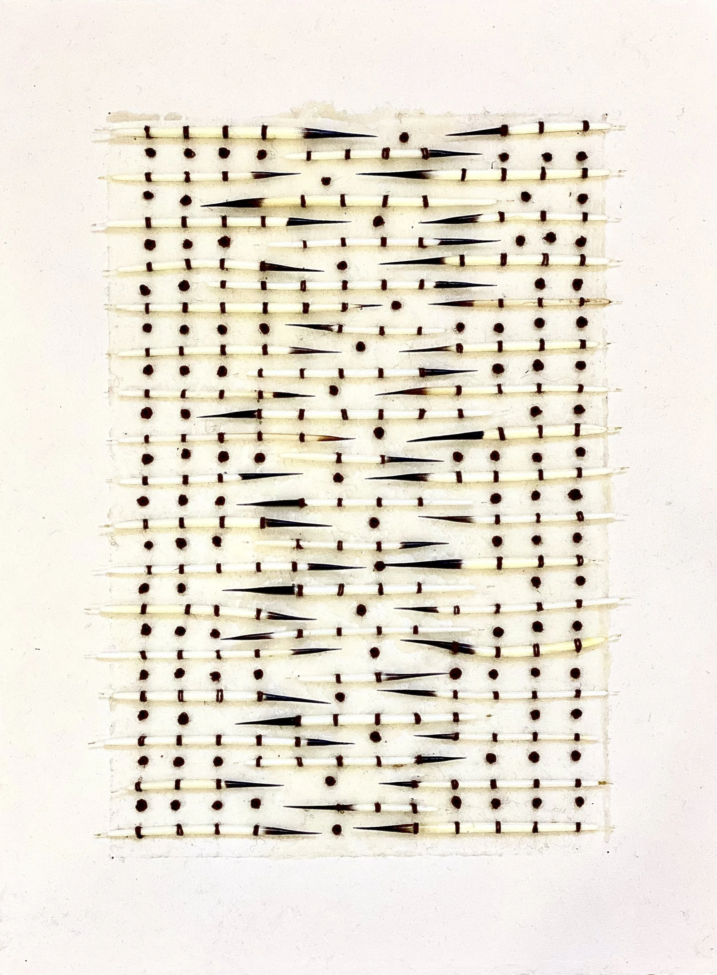  Porcupine Quills and French Knots on Paper 
Japanese paper, beeswax, porcupine quills and embroidery floss