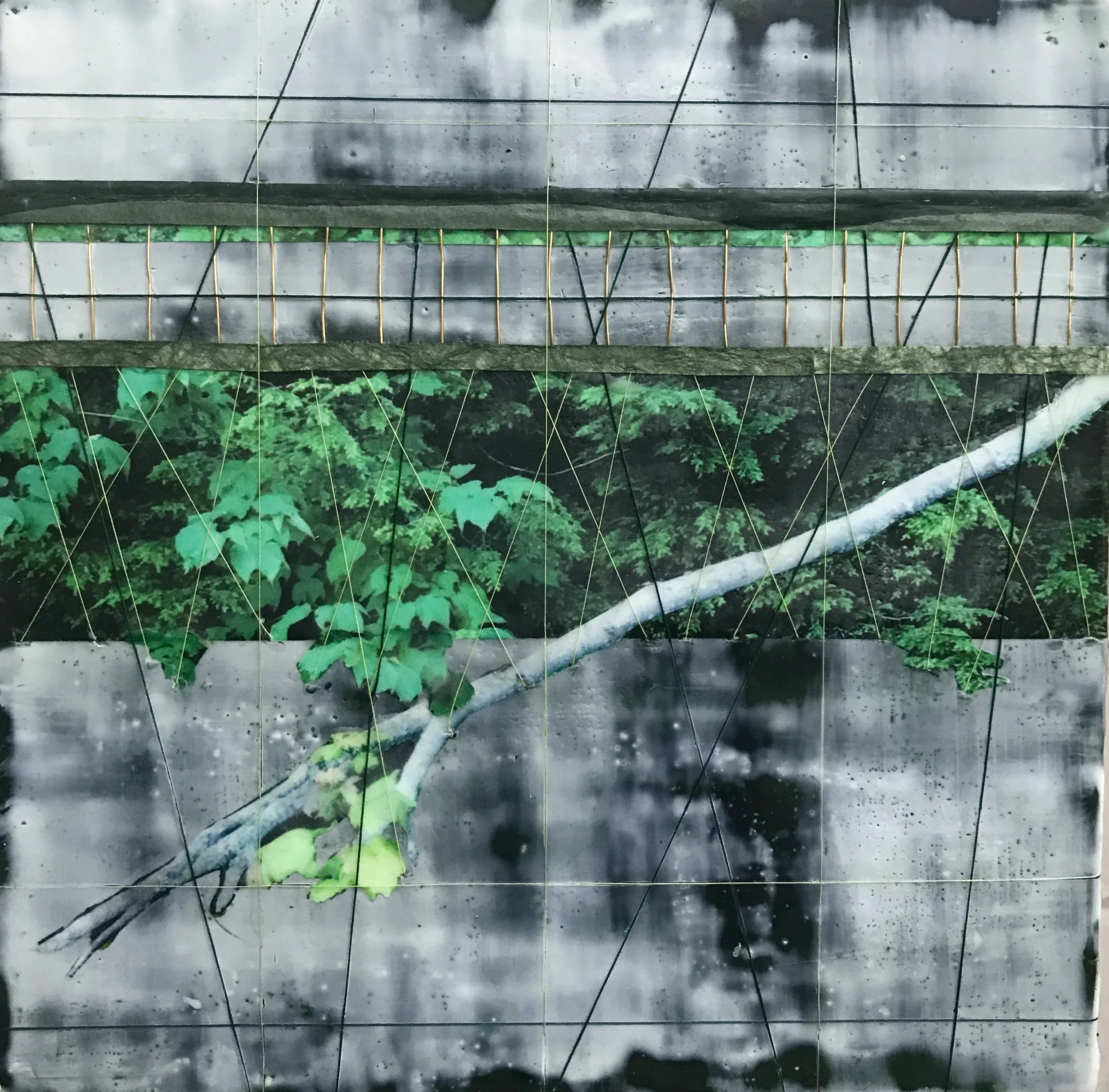  Encaustic Embroidery, Verdant Leaves, on Wood Panel 
Encaustic, photography, embroidery floss on wood panel