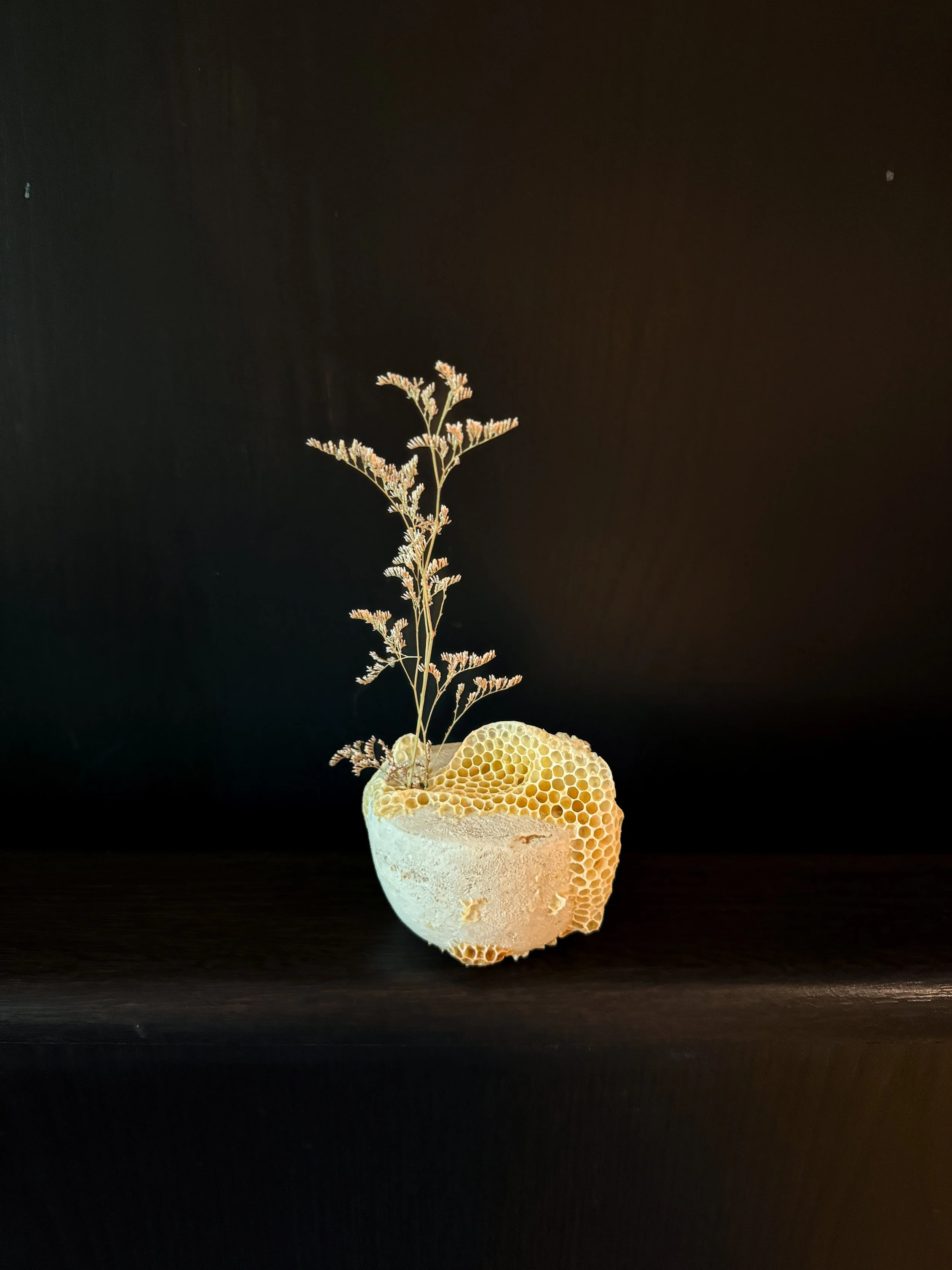  Cracked Ceramic Vase with Dried Flowers and Honeycomb #1 
Ceramic vase by Satoshi Yoshikawa with dried flowers and natural honeycomb