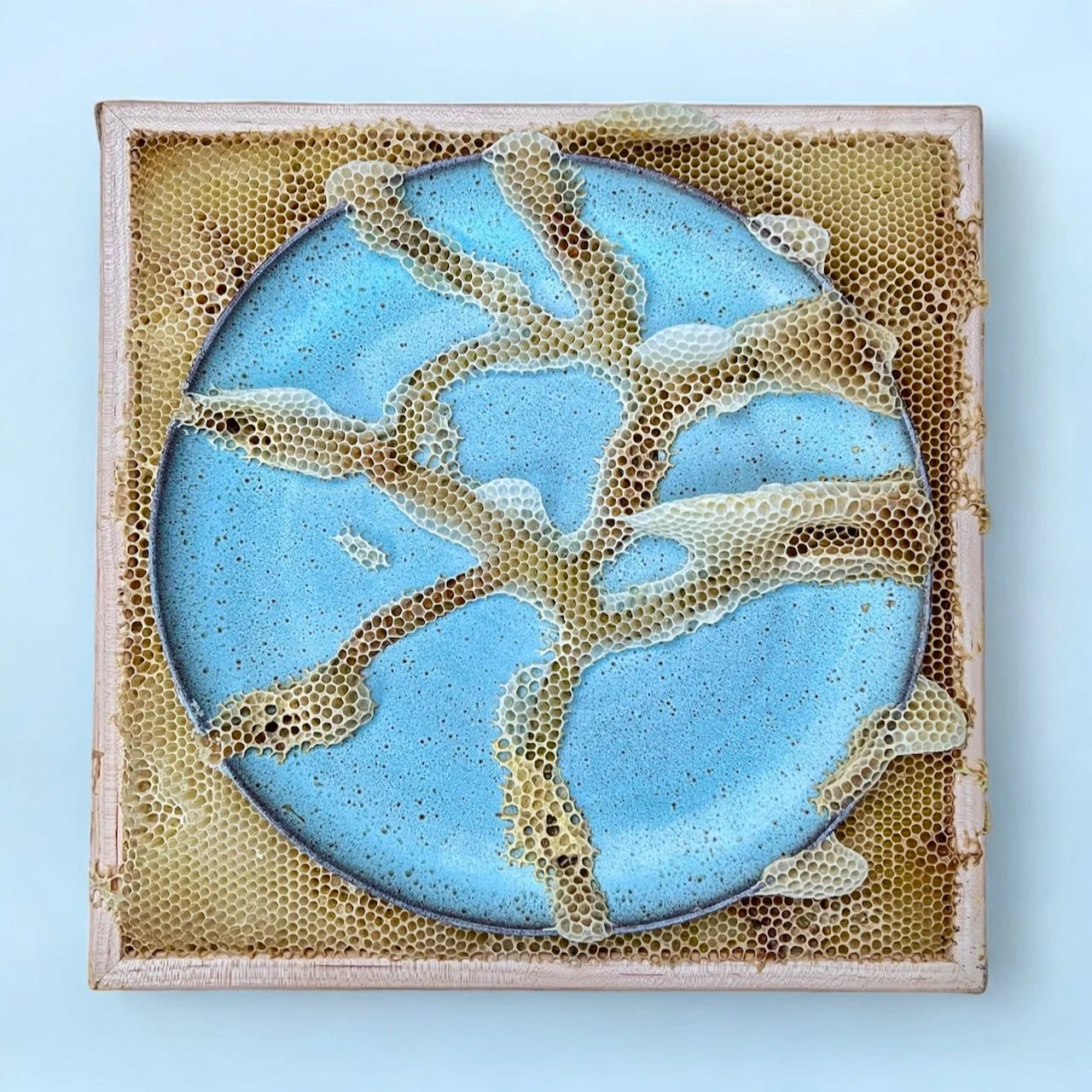  Honeycomb Collaboration: Kintsugi Platter, Blue 
Japanese paper, ceramic, natural honeycomb on wood panel