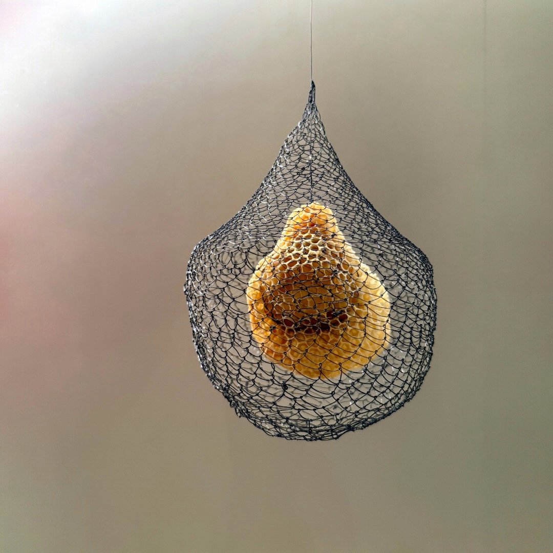  Black Metal Pod with Honeycomb 
Metal wire, honeycomb