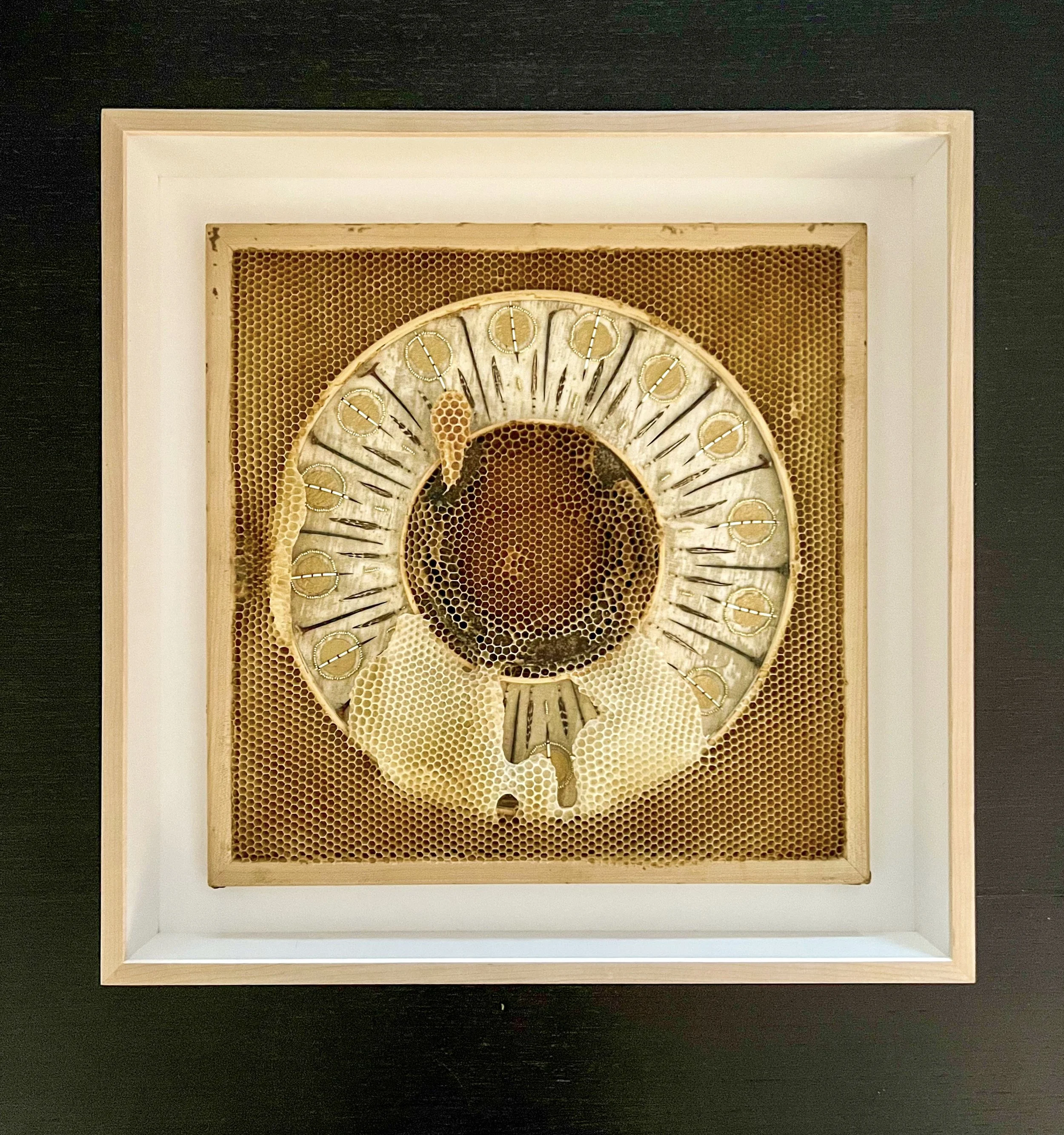  Honeycomb Collaboration: Horseshoe 
Japanese paper, encaustic, horse shoe, porcupine quills, gold leaf, embroidery floss, embroidery hoops, natural honeycomb on wood panel