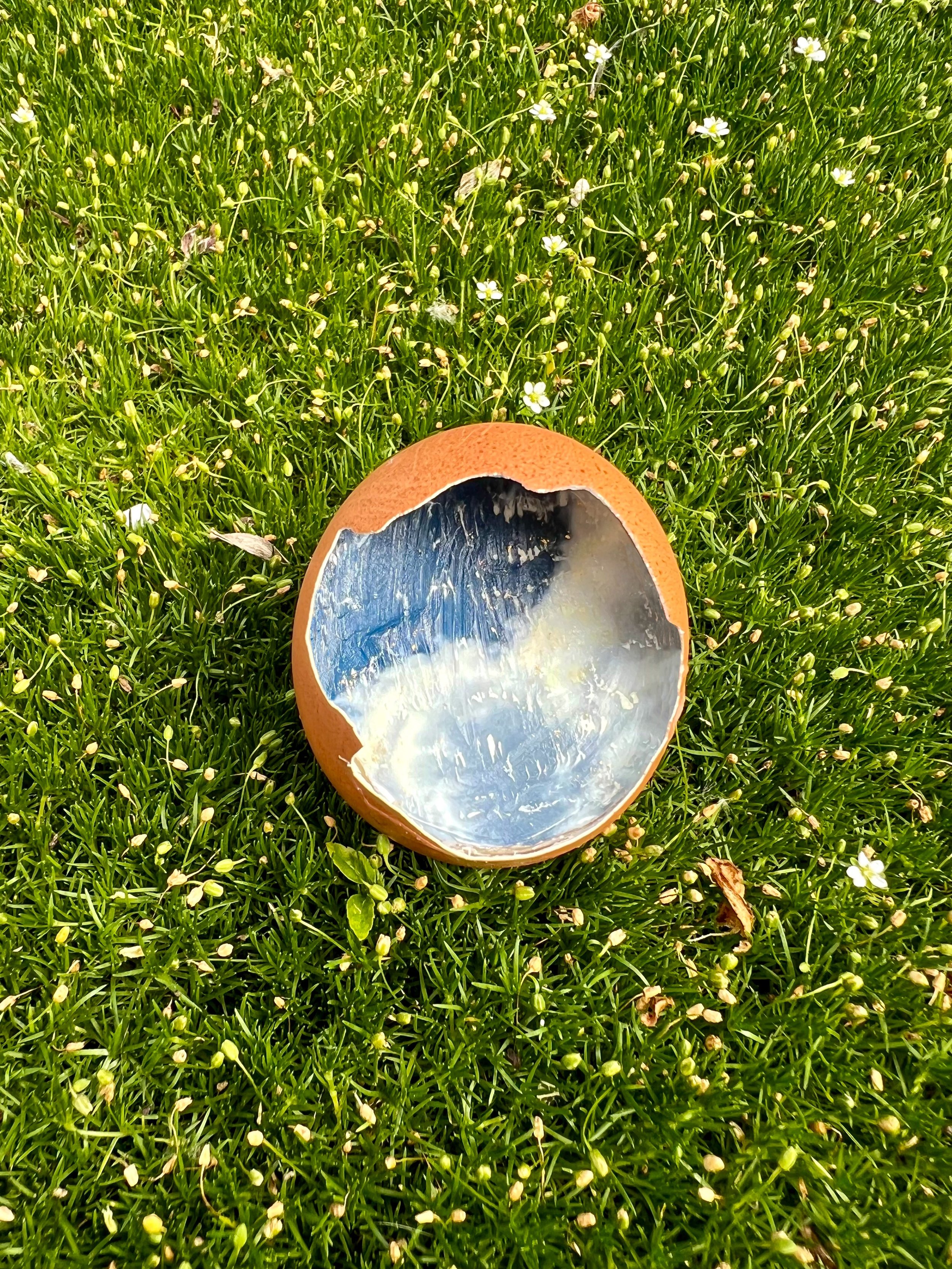  Egg with Clouds  
Egg shell, beeswax, oil paint, photography