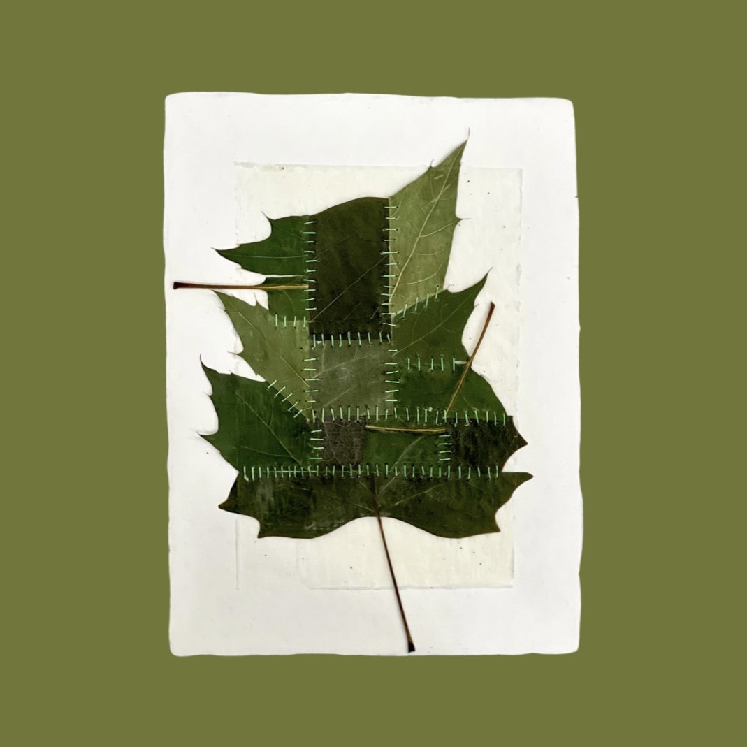  Reassembled Leaves on Paper 
Japanese paper, leaves, beeswax, embroidery floss