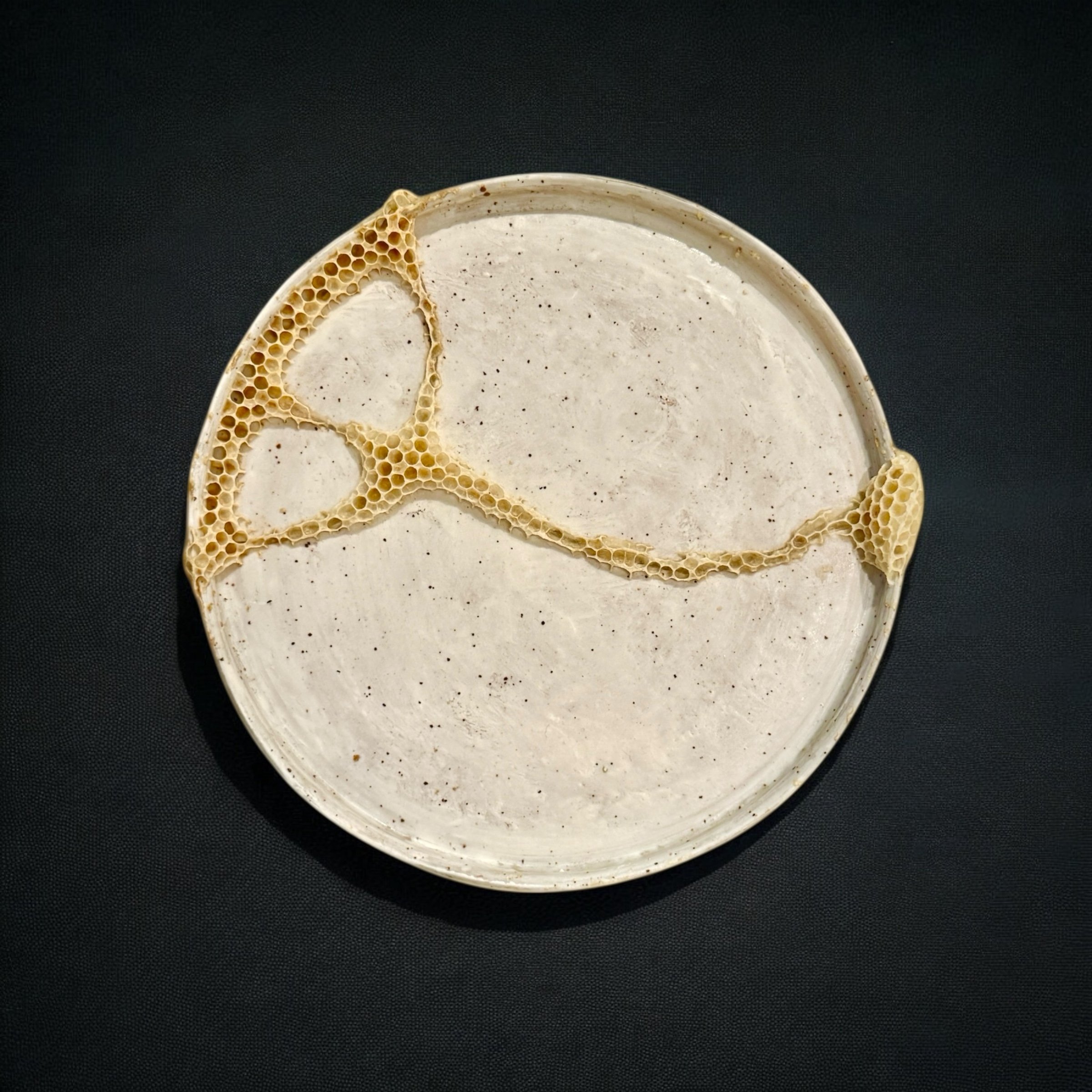  Kintsugi/Kintsu-Bee Cup #1 
Ceramic plate by Satoshi Yoshikawa an natural honeycomb