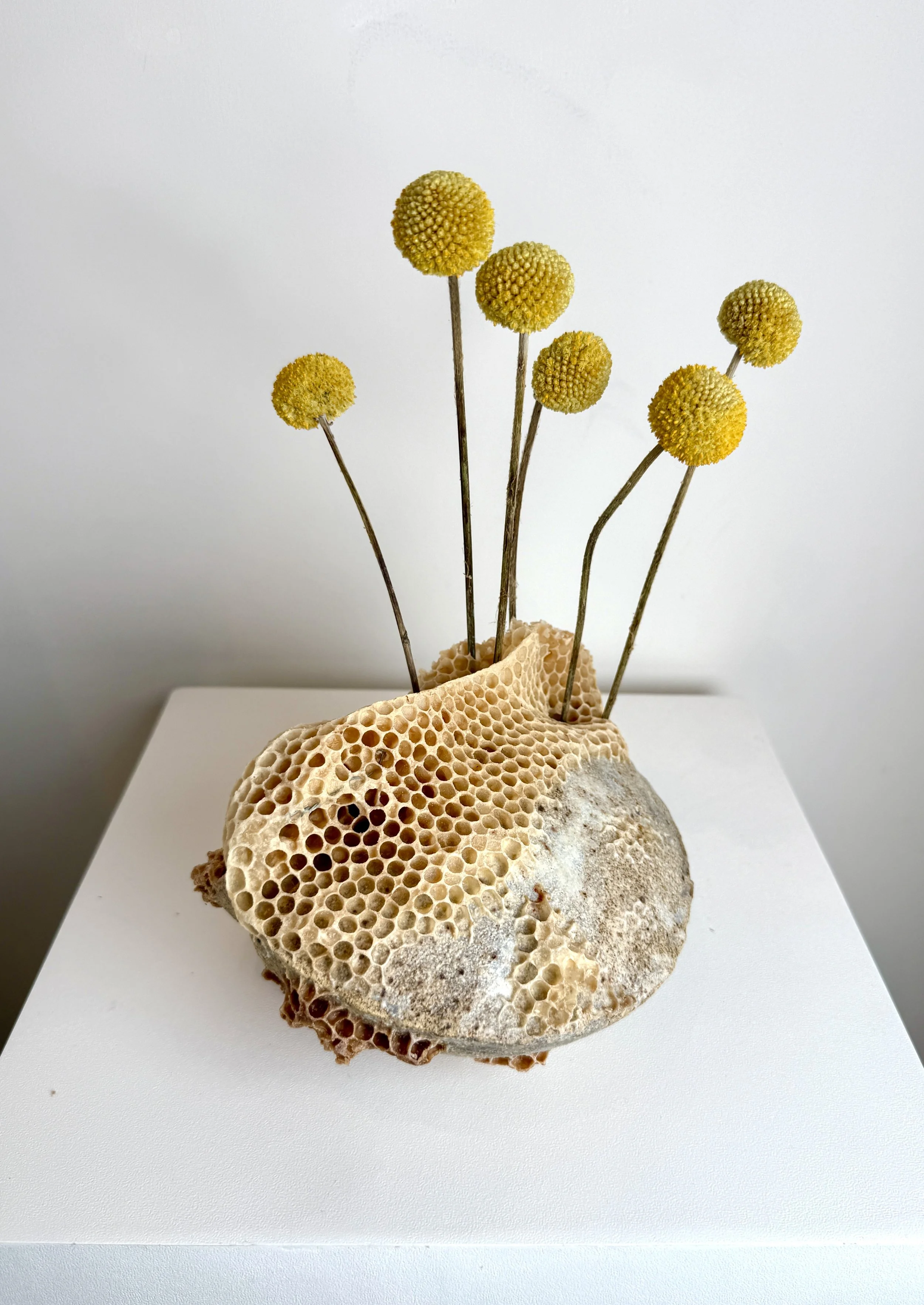  Cracked Ceramic Vase with Dried Flowers and Honeycomb #2 
Ceramic vase by Satoshi Yoshikawa with dried flowers and natural honeycomb