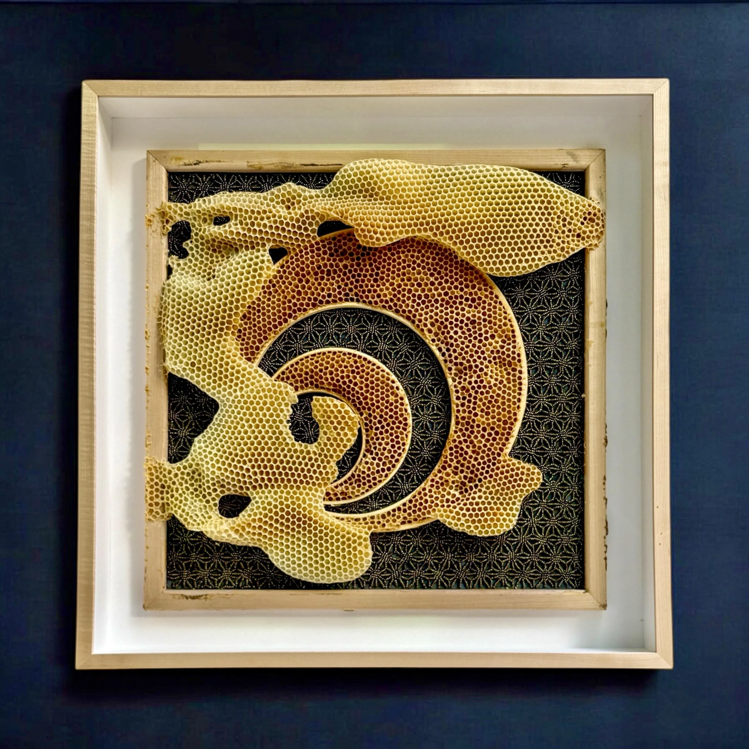 Honeycomb Collaboration: Hoops with Black Flower Motif 
Japanese paper, encaustic, seed beads, embroidery floss, natural honeycomb on wood panel