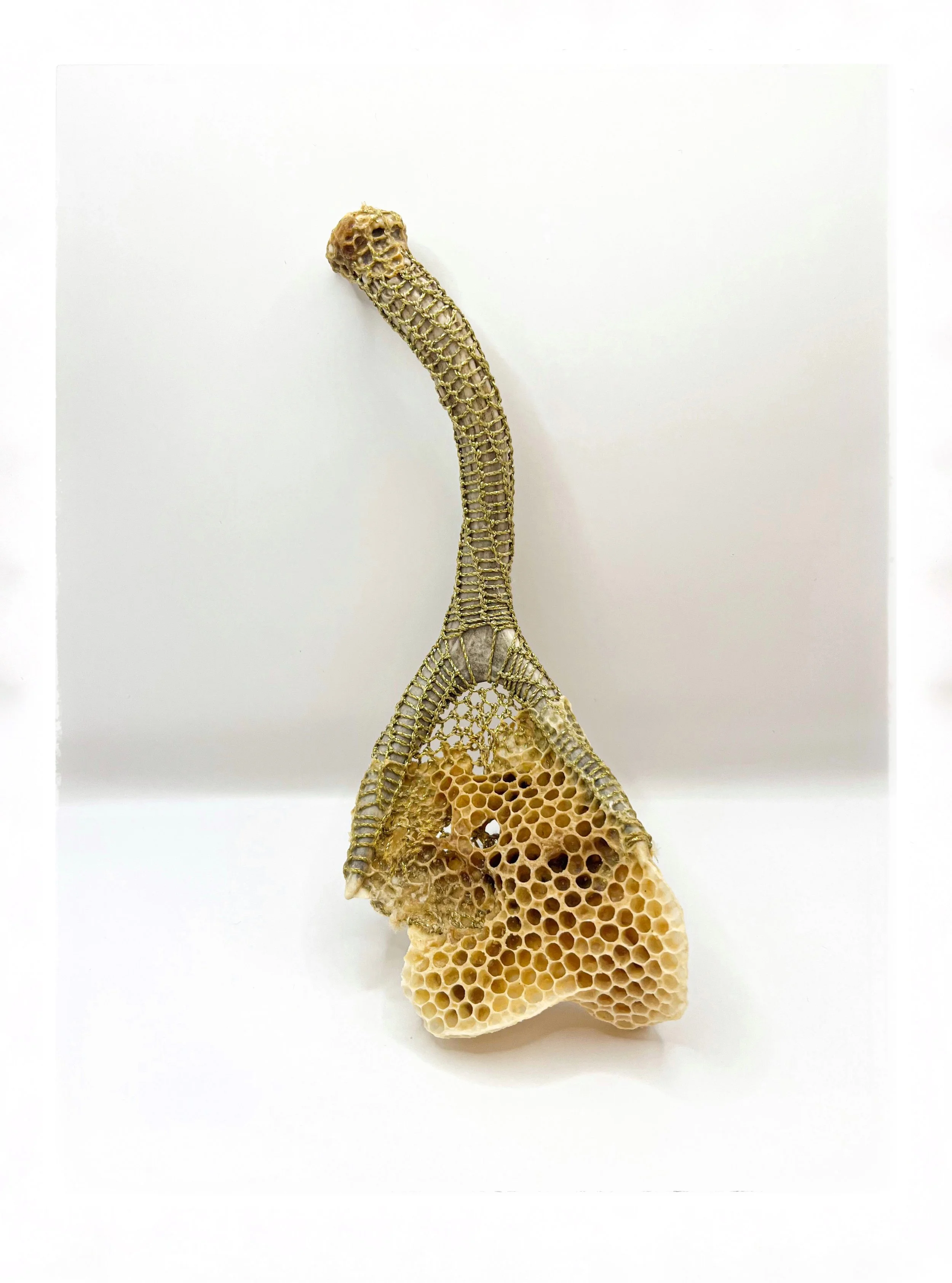  Woven Antler with Honeycomb 
Metallic waxed cord, naturally shed deer antler, honeycomb