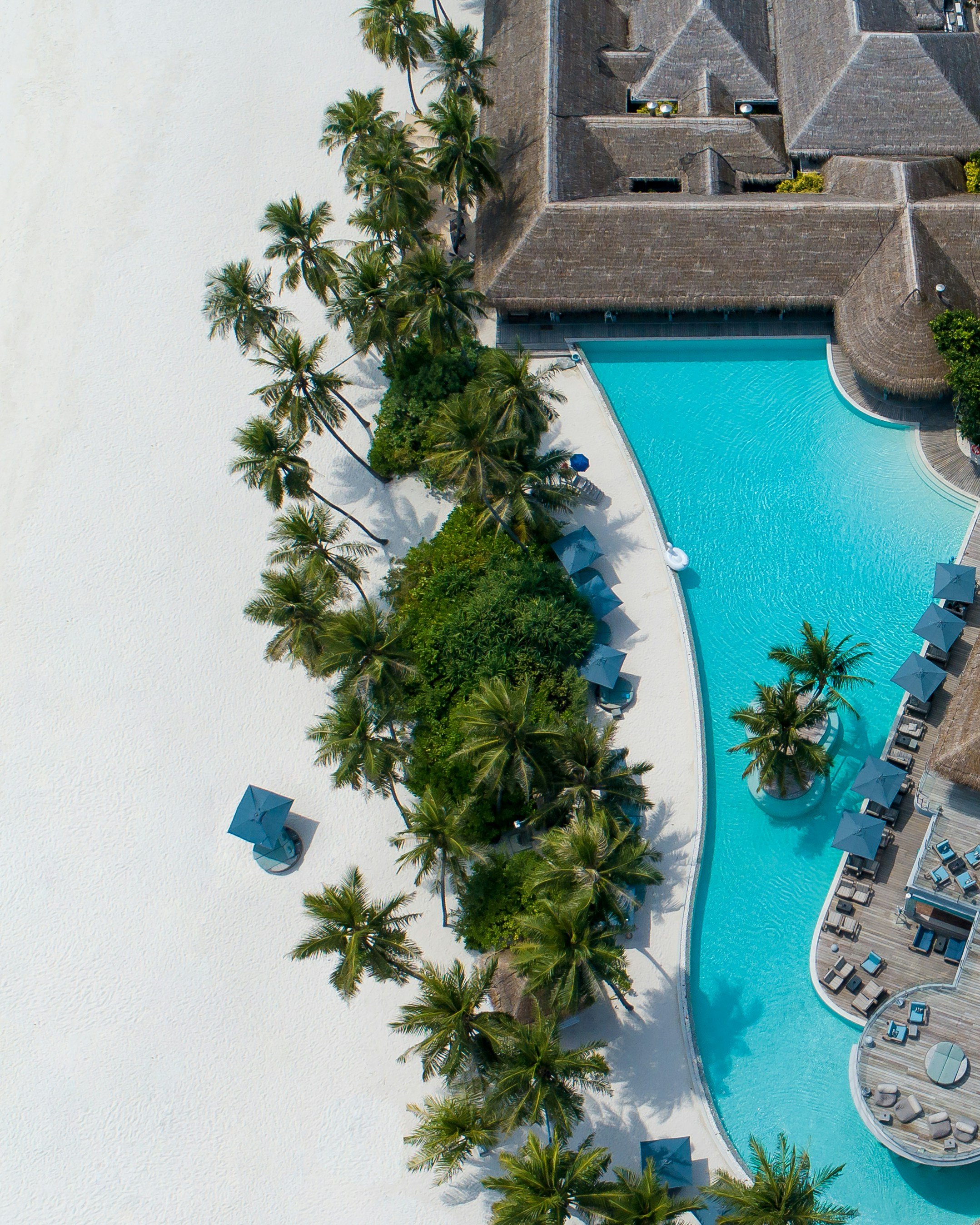 Aerial view of a luxury beachfront resort featuring a turquoise swimming pool, thatched roof buildings, and palm trees. The sandy beach is lined with sun umbrellas and lounge chairs, creating a tropical vacation atmosphere.