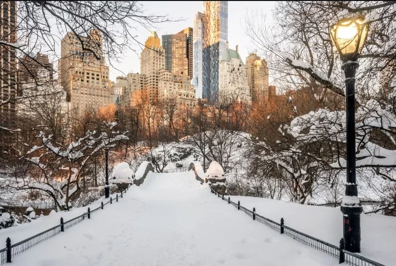 Snow-covered bridge in Central Park, with Midtown Manhattan rising beyond in warm winter light.
