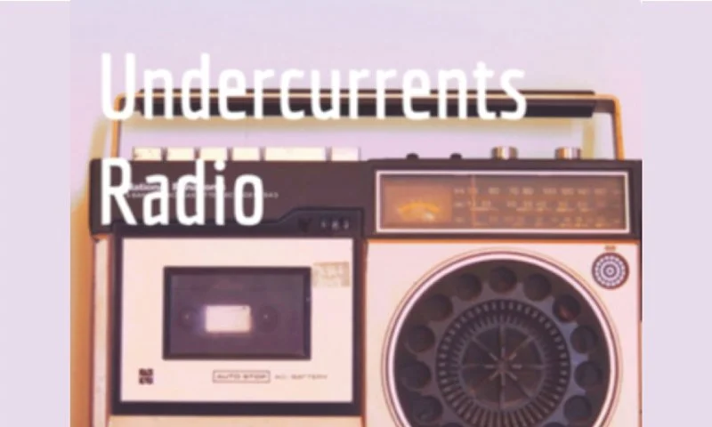 Undercurrents Radio podcast interview by Jannie Traschen on Freedom Train