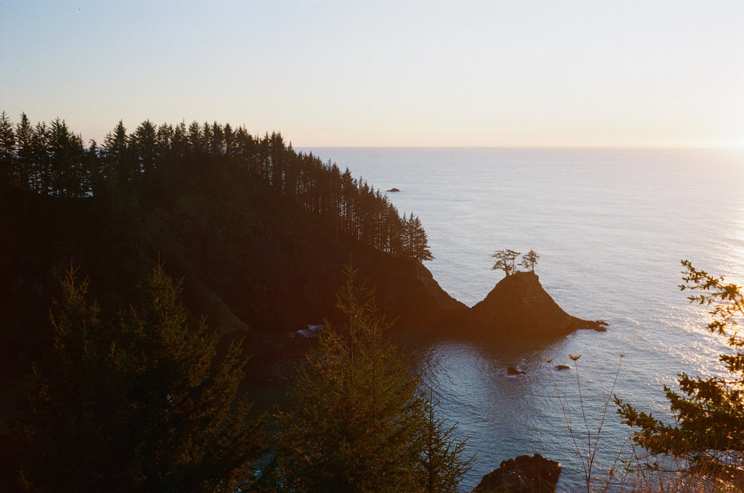 Sunset over a coastal landscape with a dense forest on a cliff and the ocean in the background.