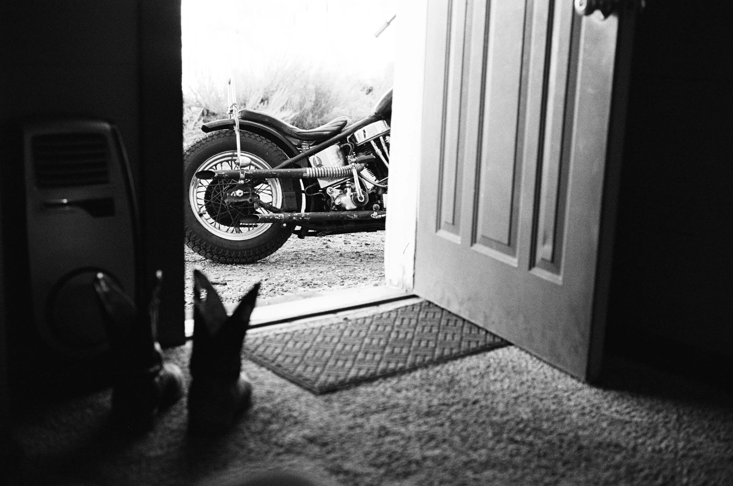 Black and white photo of a motorcycle seen through the open door of a house, with a cat in the foreground interior watching the motorcycle outside.