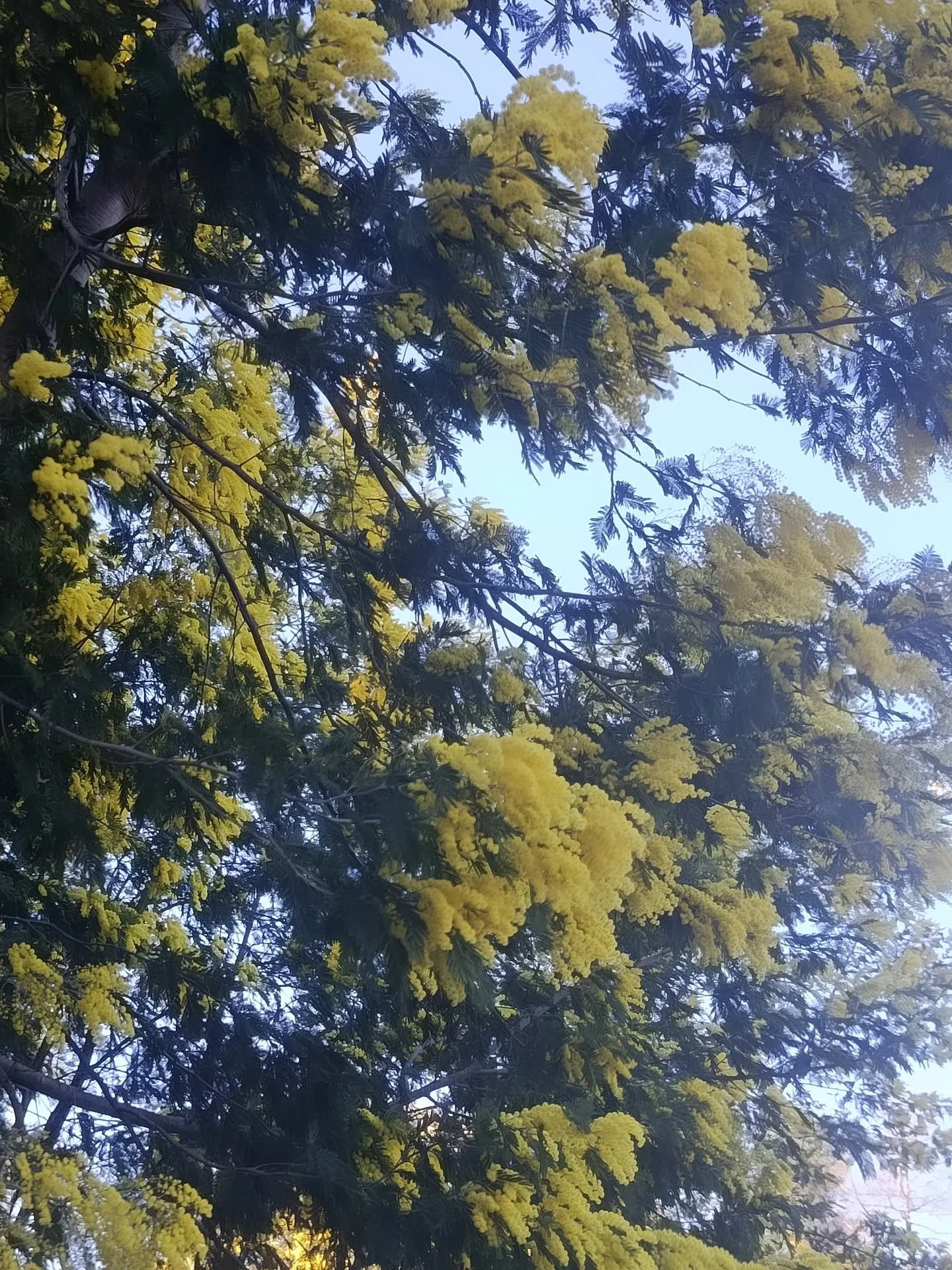 por detr&aacute;s da tinta - a inspira&ccedil;&atilde;o 🌱
.
 As duas &uacute;ltimas telas n&atilde;o precisam de explica&ccedil;&atilde;o. S&atilde;o o in&iacute;cio de um conjunto de 4 quadros de uma cole&ccedil;&atilde;o chamada 𝐸𝑠𝑡𝑎&ccedil;&o