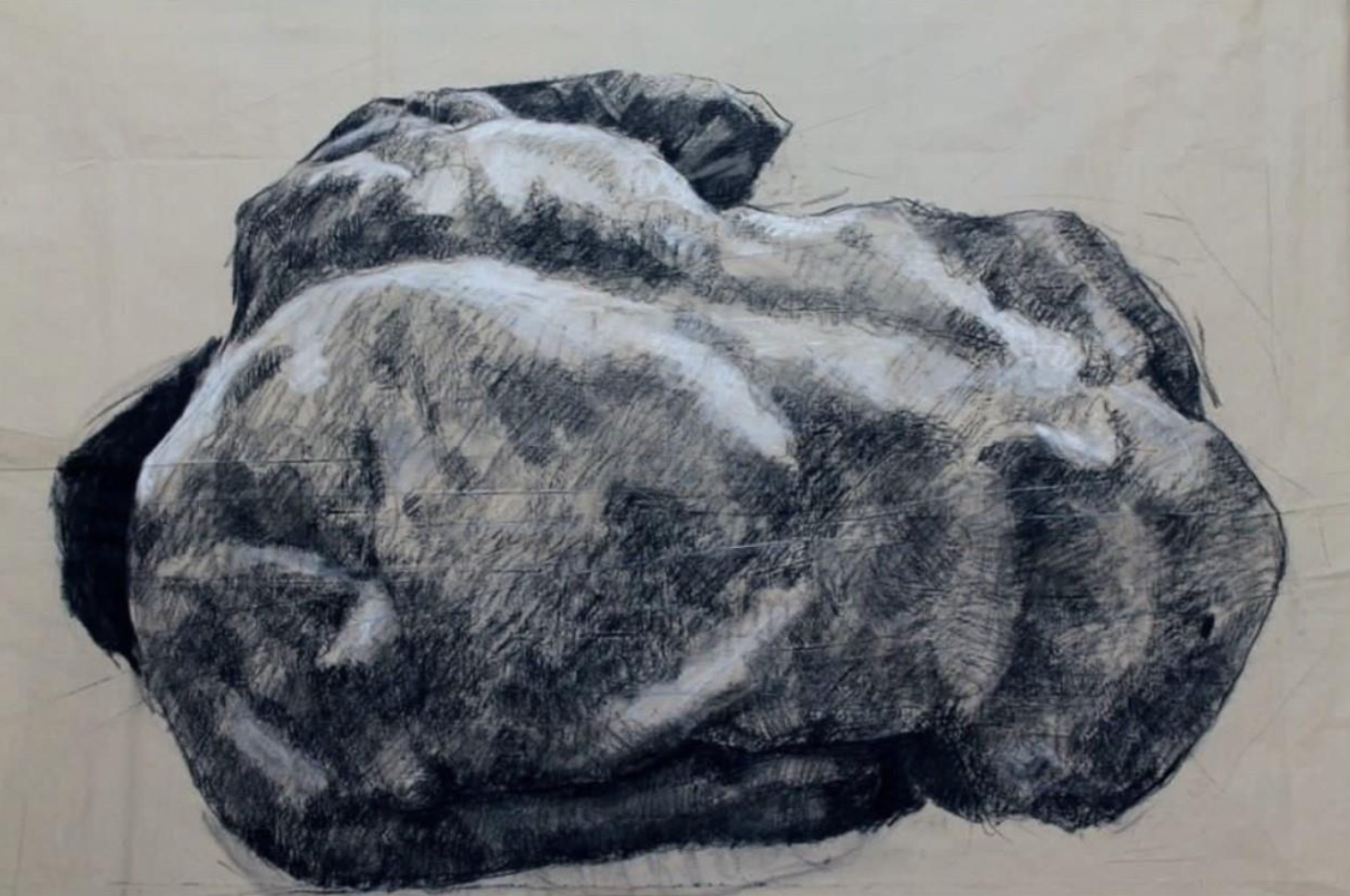 Aconitum (2014)
