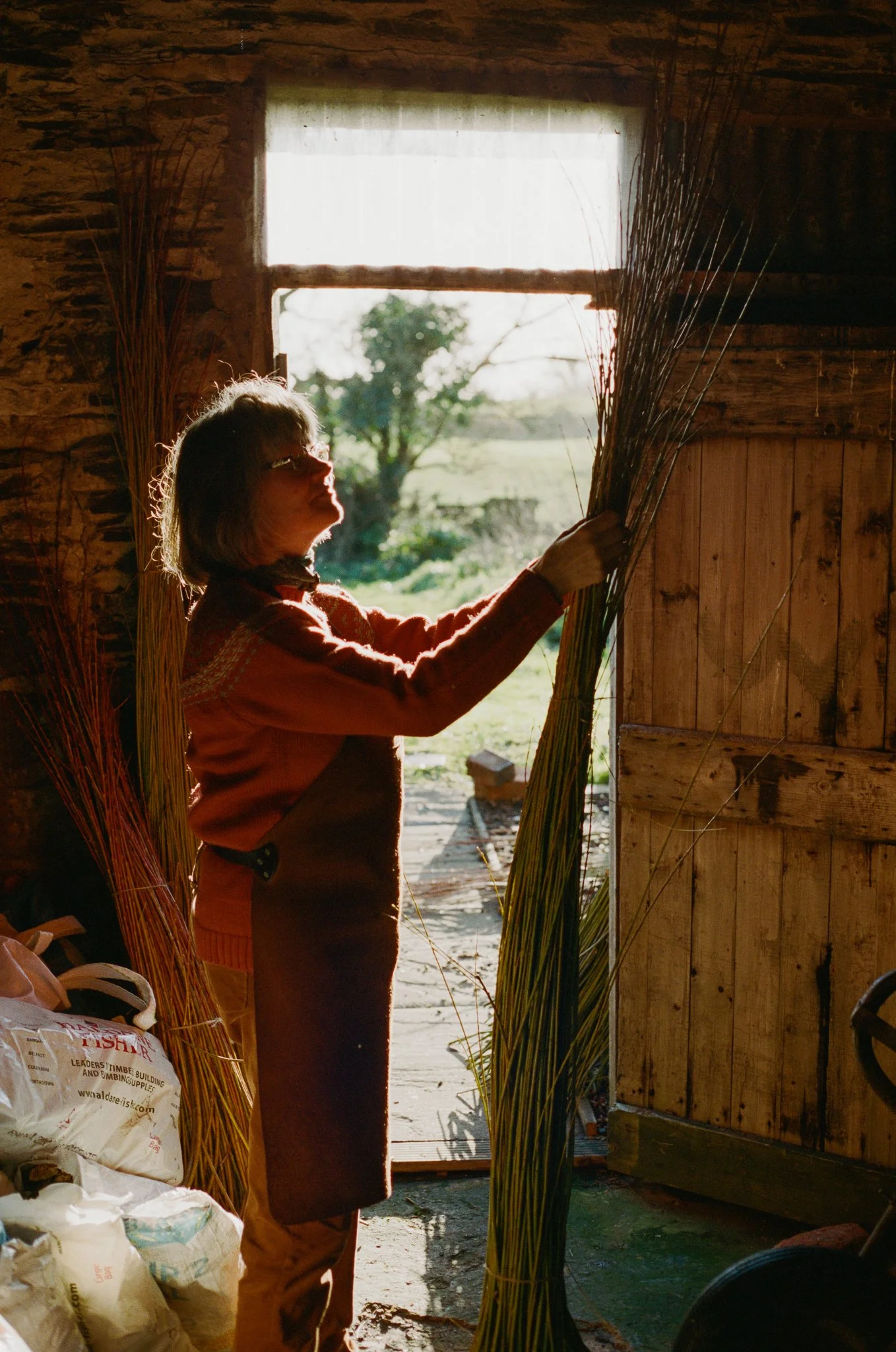 A woman holding long, dried grass in a doorway with a view of trees and outdoor landscape in the background, illuminated by natural sunlight.