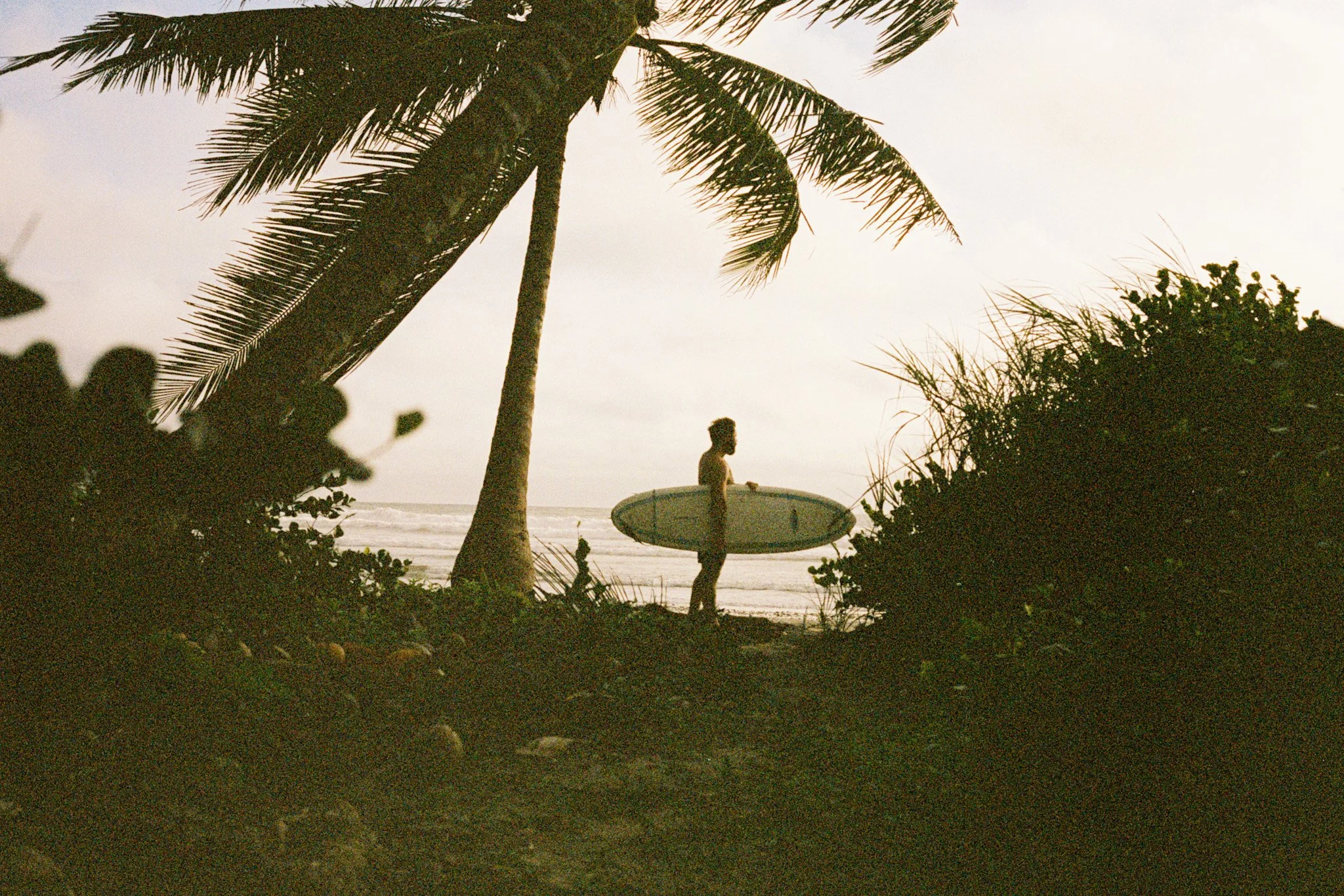 A person with a surfboard standing on the beach at sunset, framed by palm trees and tropical foliage.
