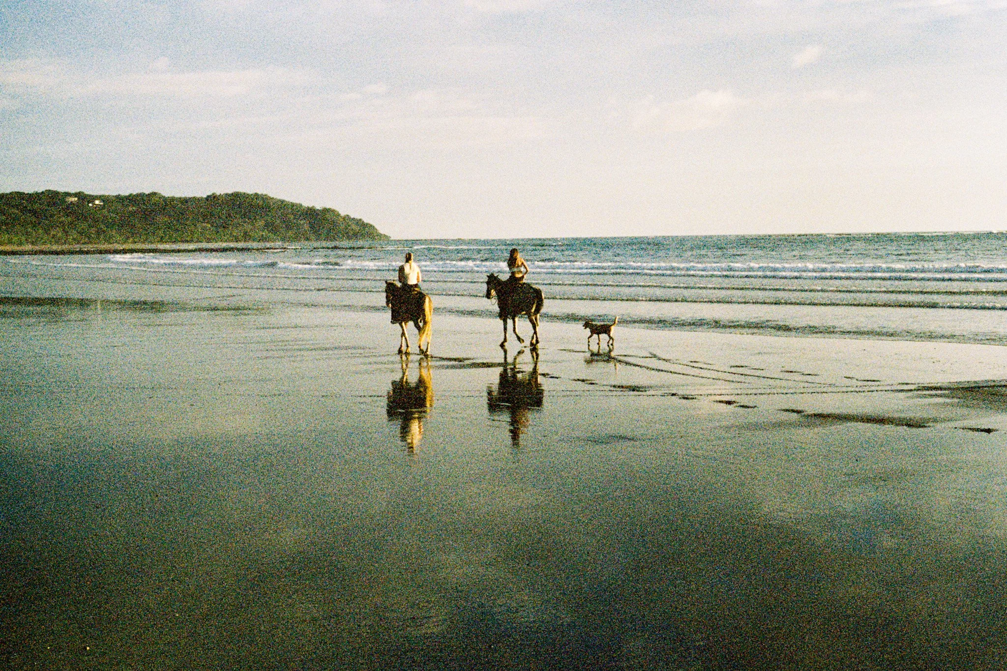 Two people riding horses along the beach with a small dog walking nearby at sunset, with a hill in the distance.