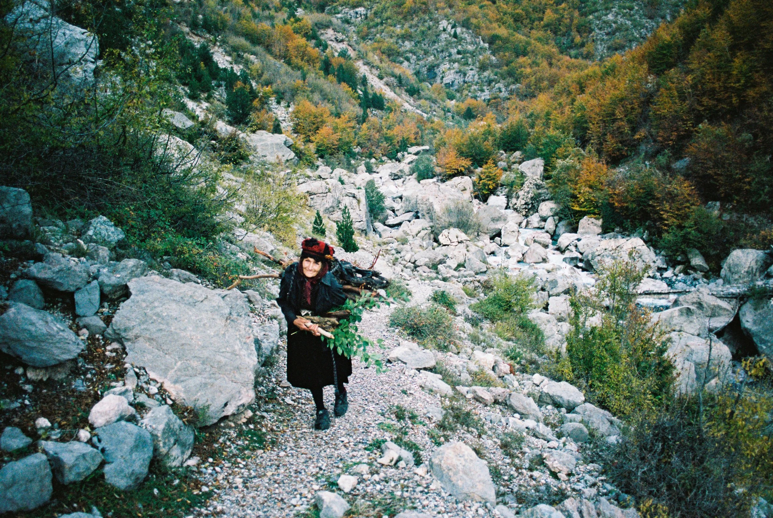 A woman carrying sticks and leaves hikes through a rocky mountain trail surrounded by trees with autumn foliage.