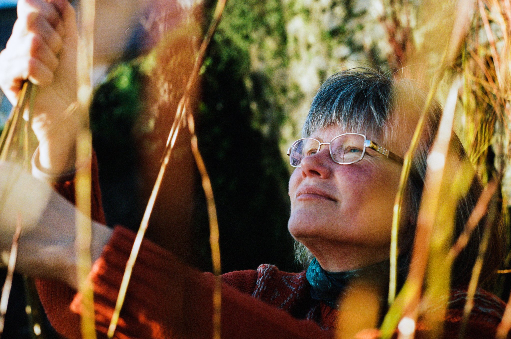 Close-up of an elderly woman with short gray hair and glasses, looking through colorful autumn leaves outdoors.