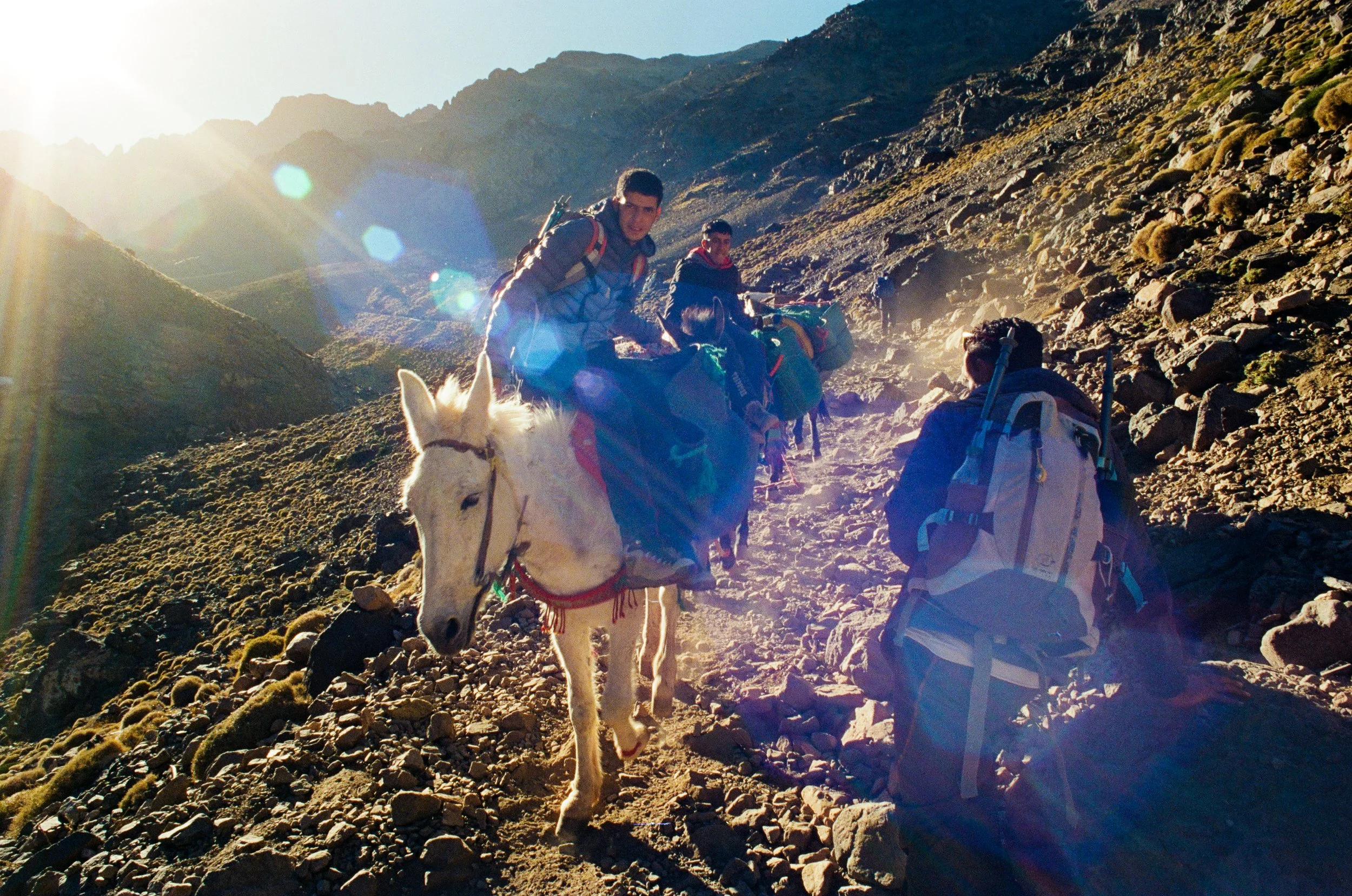 Group of hikers riding a white llama along rocky mountain trail during sunset, with rugged peaks in the background.