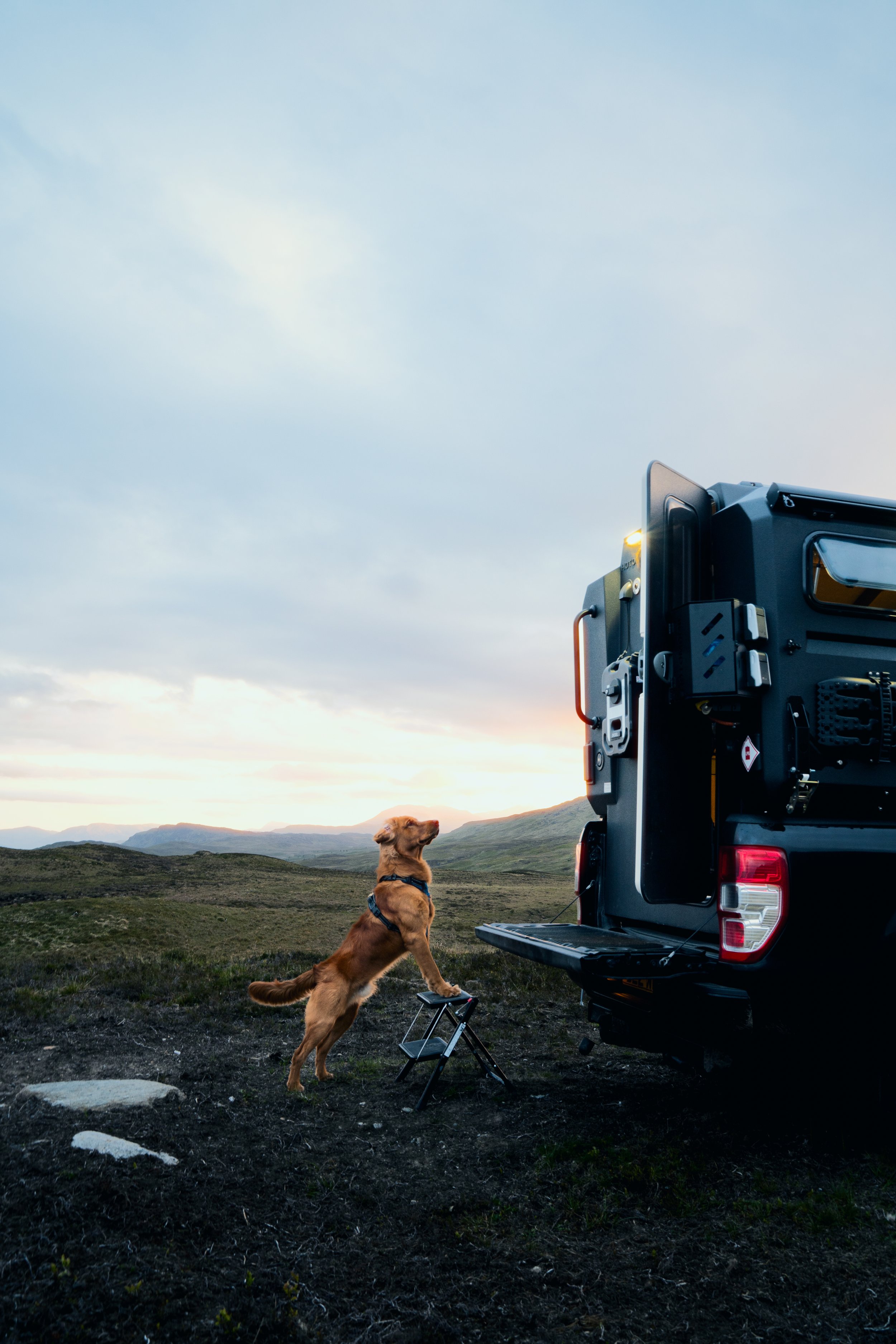 A golden retriever dog standing on its hind legs with one front paw on the back of a small folding stool, next to a black pickup truck with an open tailgate in an open grassy landscape with mountains and a cloudy sky in the background.