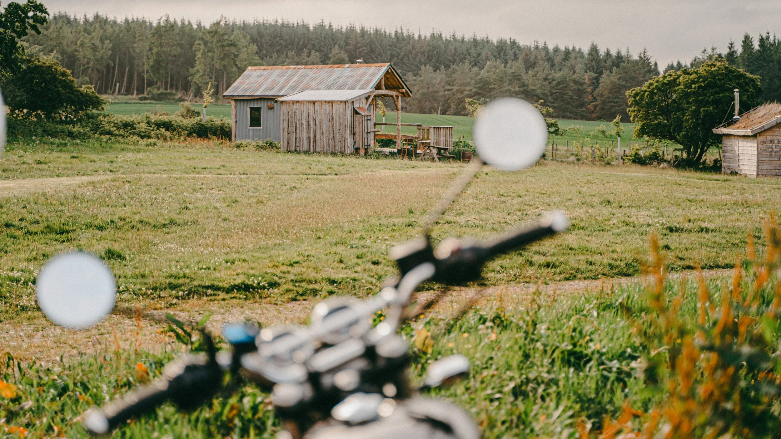 View of a rustic wooden cabin on a grassy field with trees and forest in the background, and a bicycle handle in the foreground.