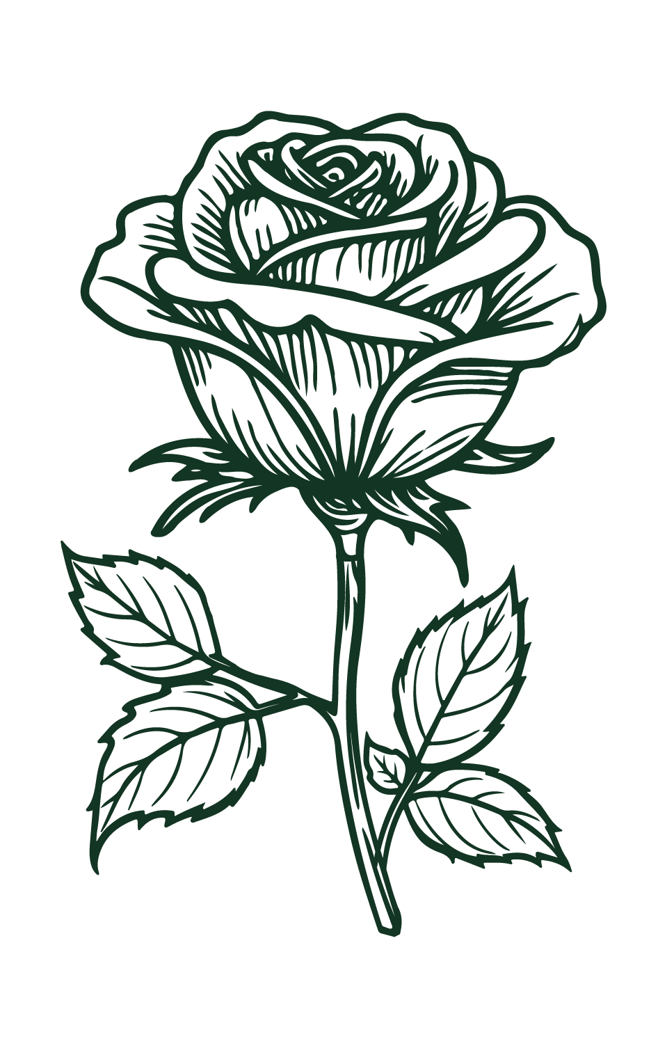 Line drawing of a rose with leaves on a black background.