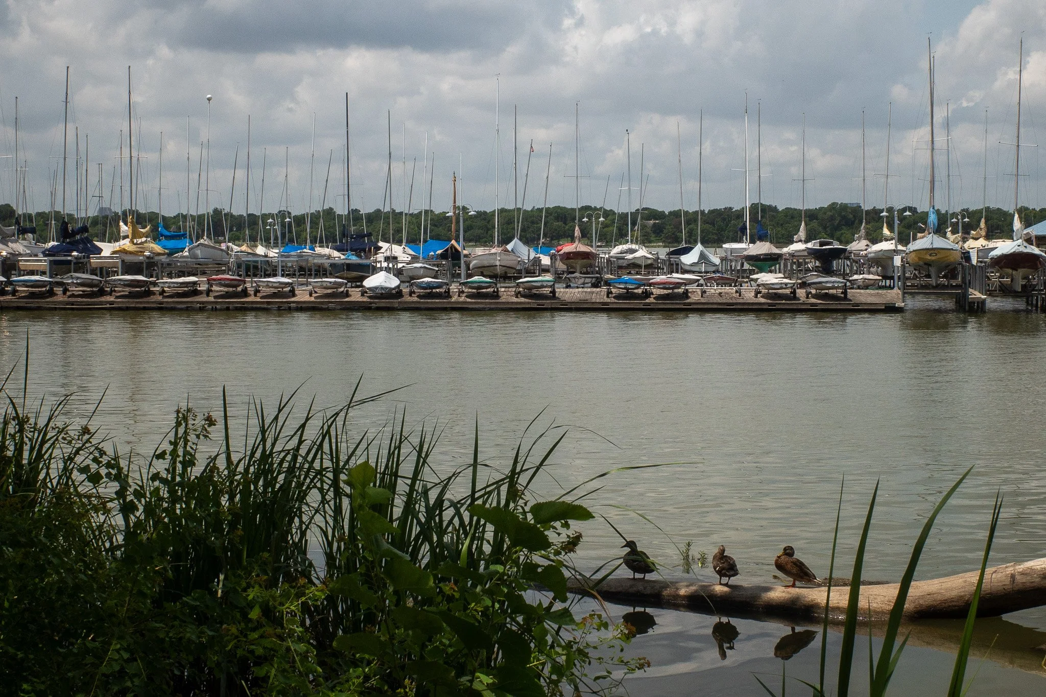 R0001961.jpg