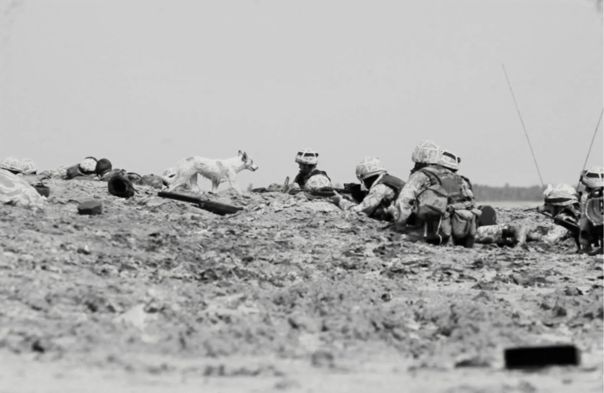 Black and white photo of soldiers in combat gear lying on the ground, aiming rifles, with a dog among them, in a barren outdoor landscape under a mostly clear sky.