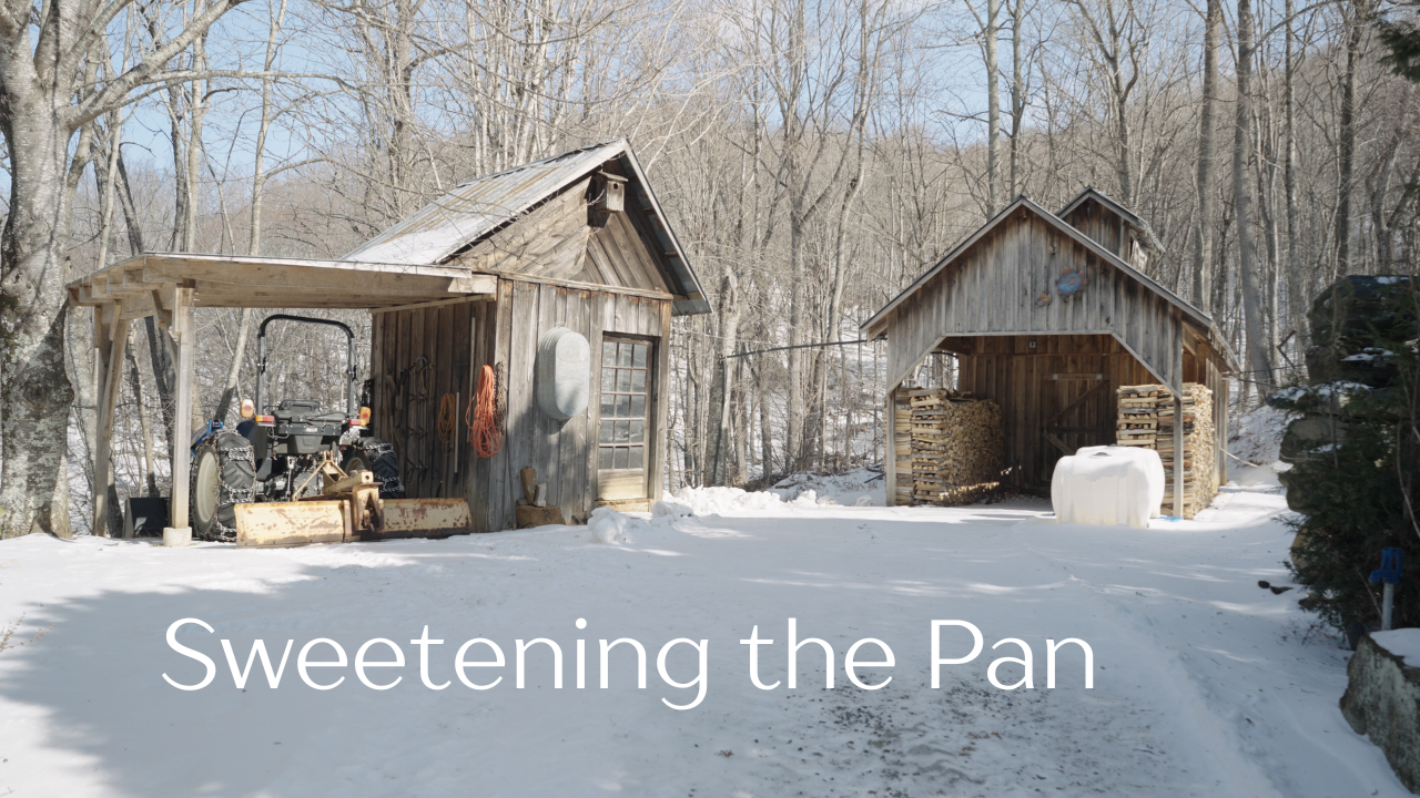 Making Maple Syrup in North Carolina