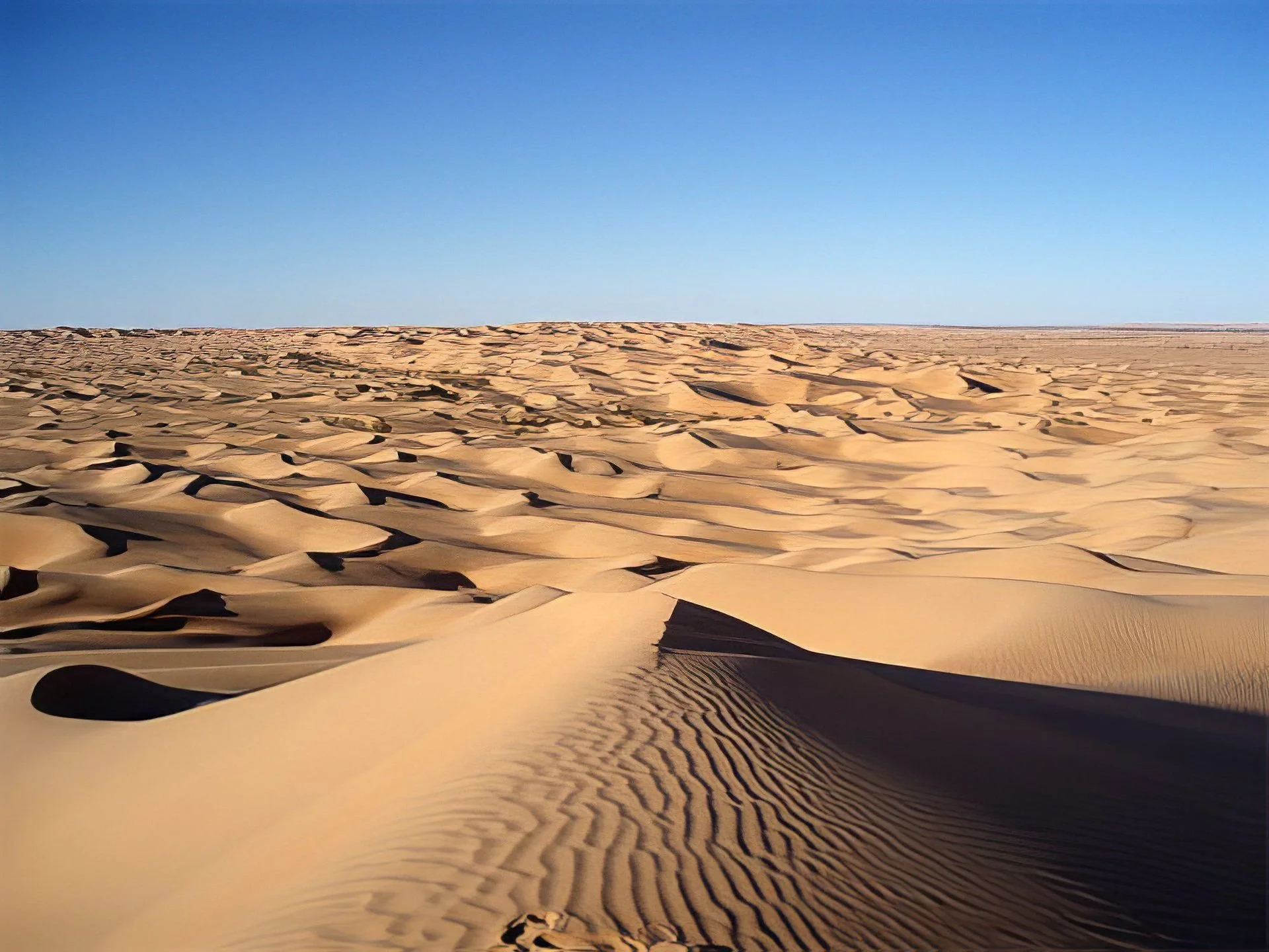 DESERT pres de ghardaia.jpg