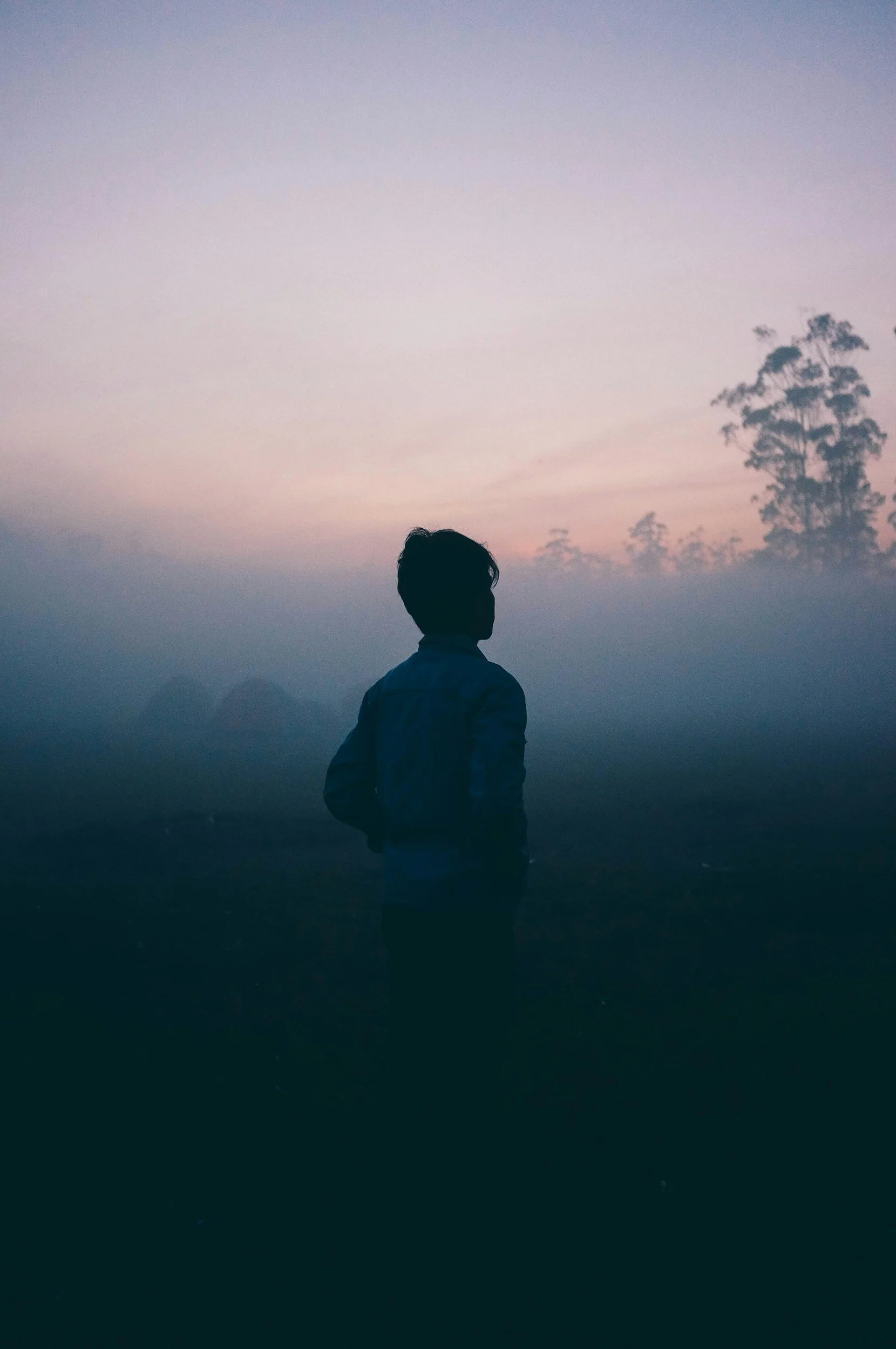 Silhouette of a person standing in front of a foggy landscape with trees and a pastel-colored sky at sunrise or sunset.