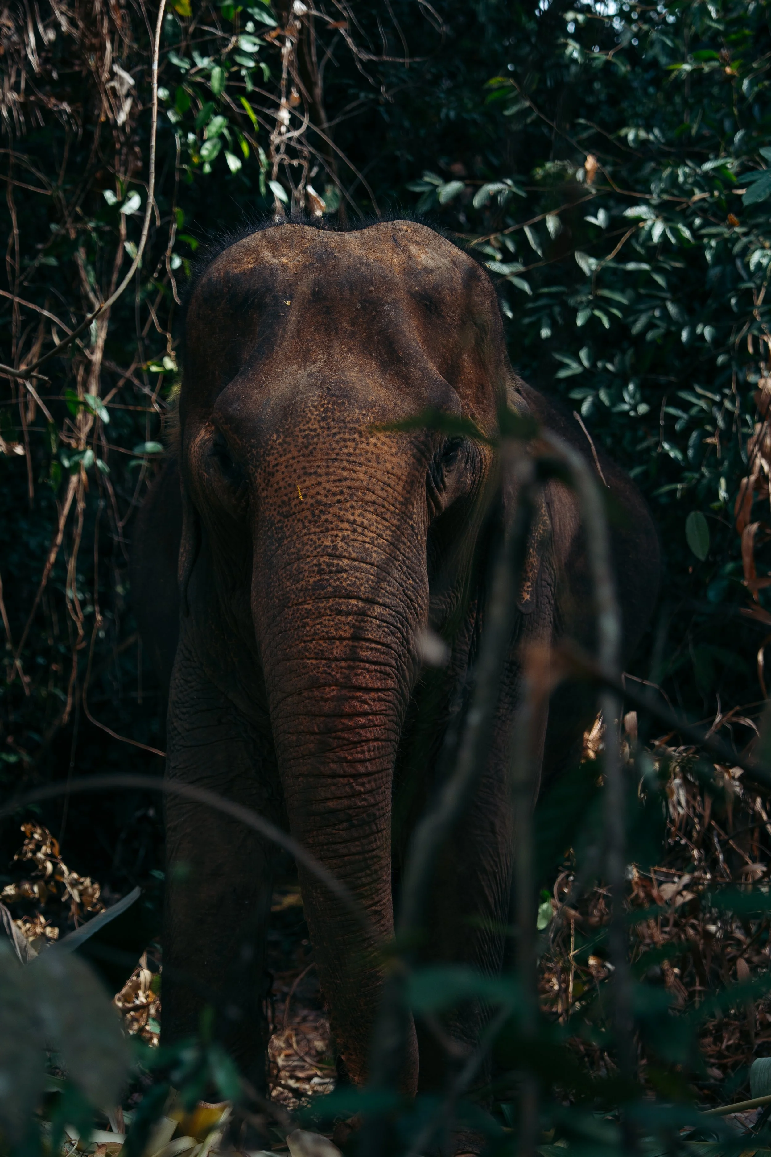 thailand-177.jpg