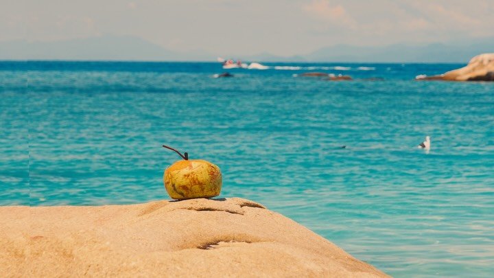 Perhentian Diaries 🏝️🥥

A few days of island life that felt refreshingly simple.

#cinematic #malaysia #perhentian #travelvideo