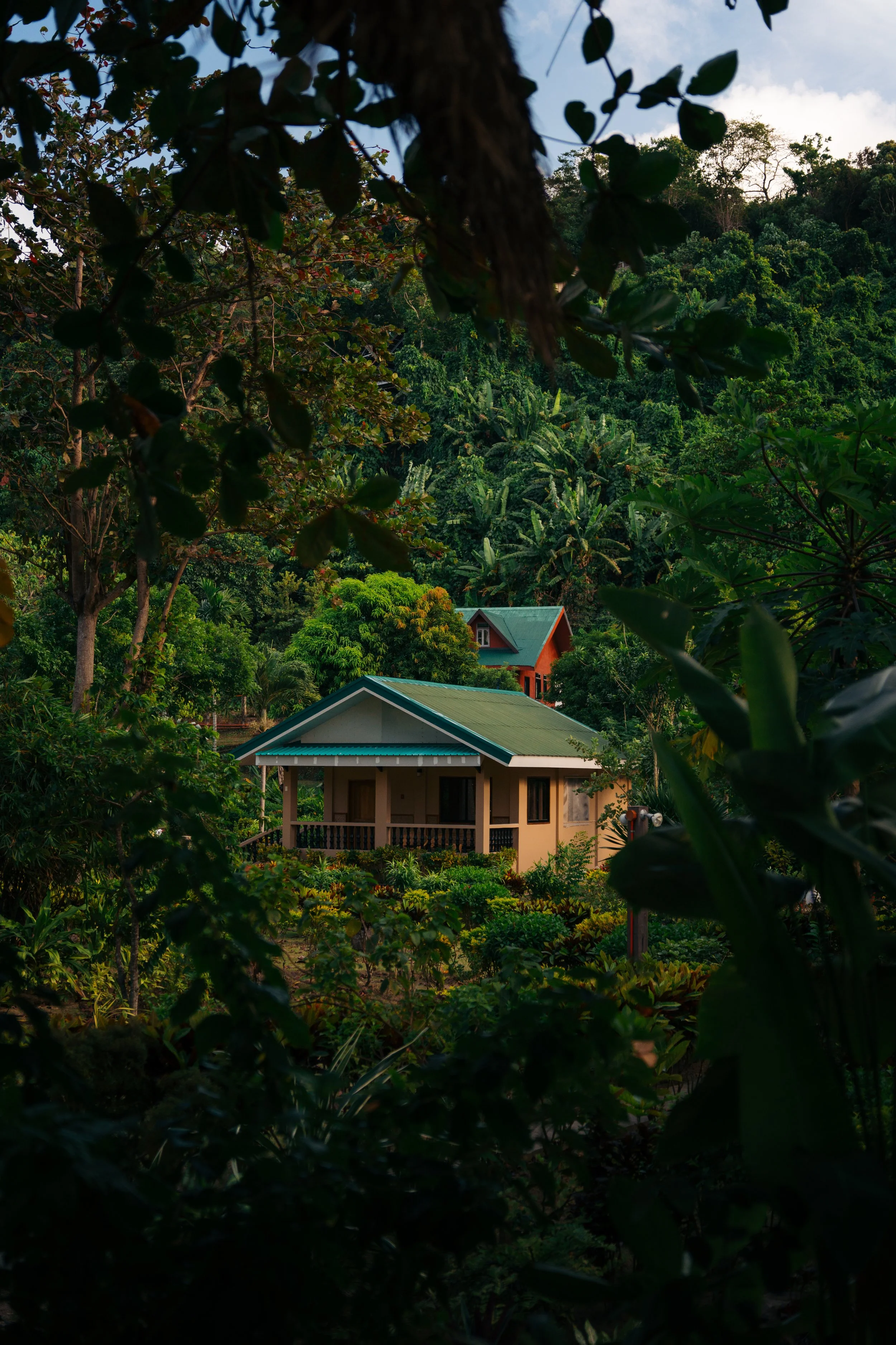 Casa en medio de un paisaje tropical con muchos árboles verdes y vegetación densa, vista parcial desde un área cubierta por hojas y ramas.