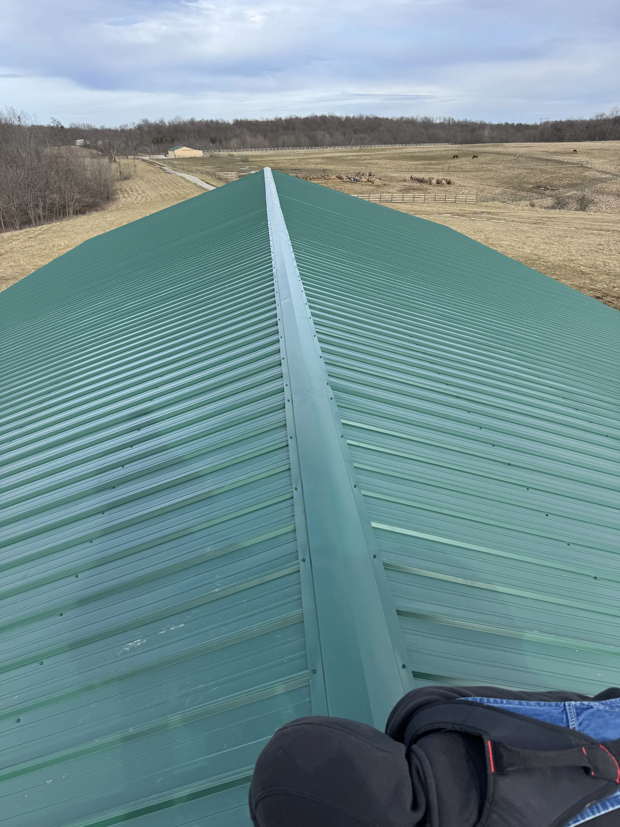 View from inside a flying aircraft showing a green metal roof on the plane, with a person's legs visible in the lower part of the image, and a rural landscape with fields, some trees, grazing horses, and hay bales in the distance.